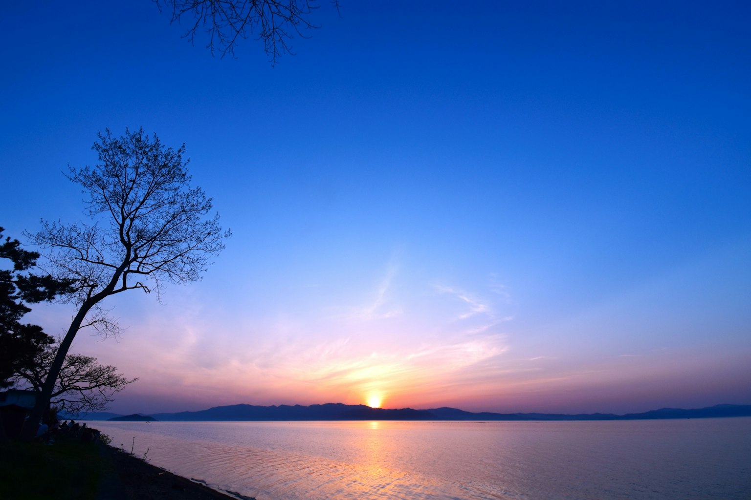 Vue du lac avec un coucher de soleil vibrant et un ciel bleu silhouetté par un arbre sur la rive