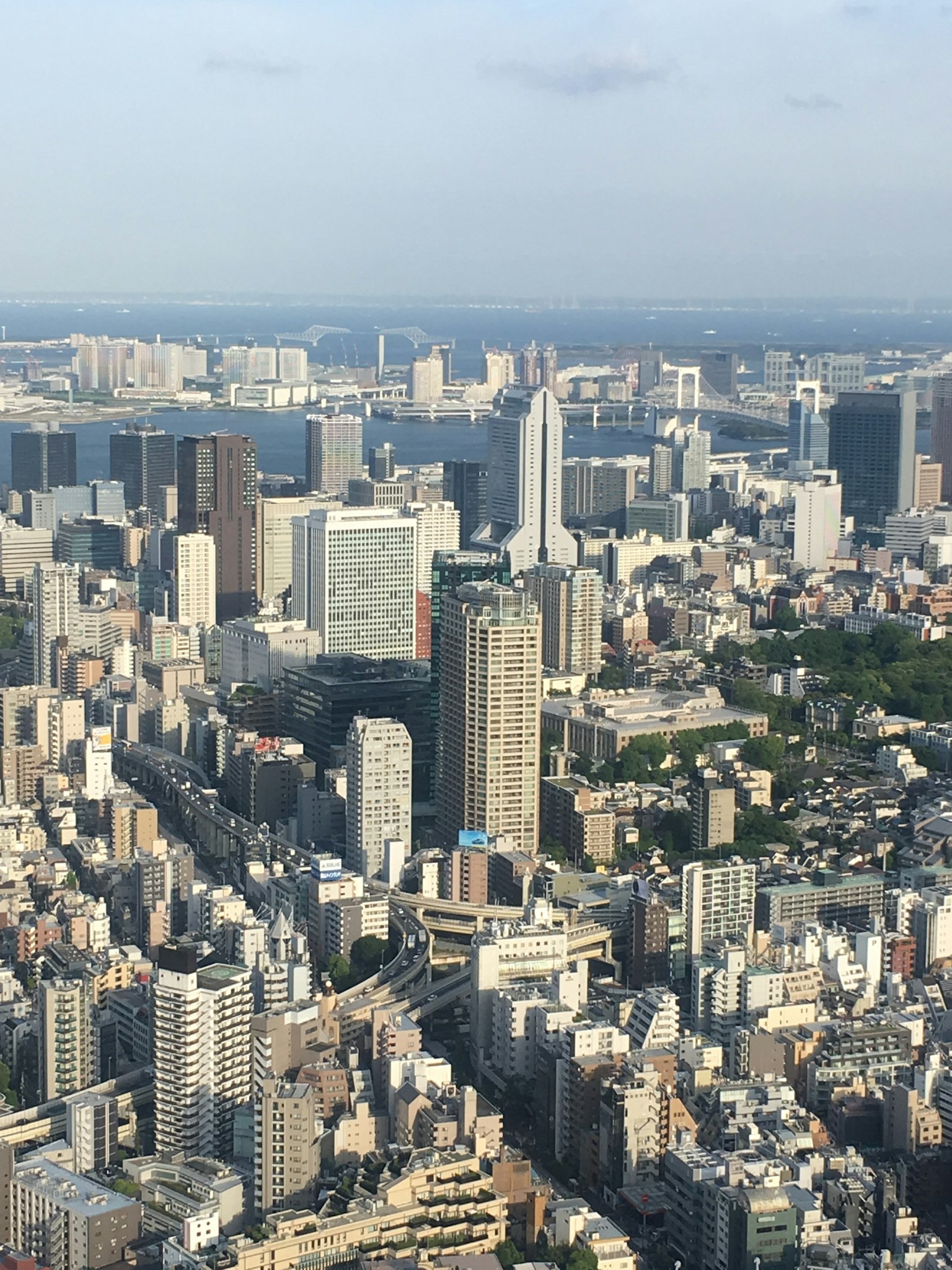 Aerial view of Tokyo's skyline with skyscrapers and urban landscape