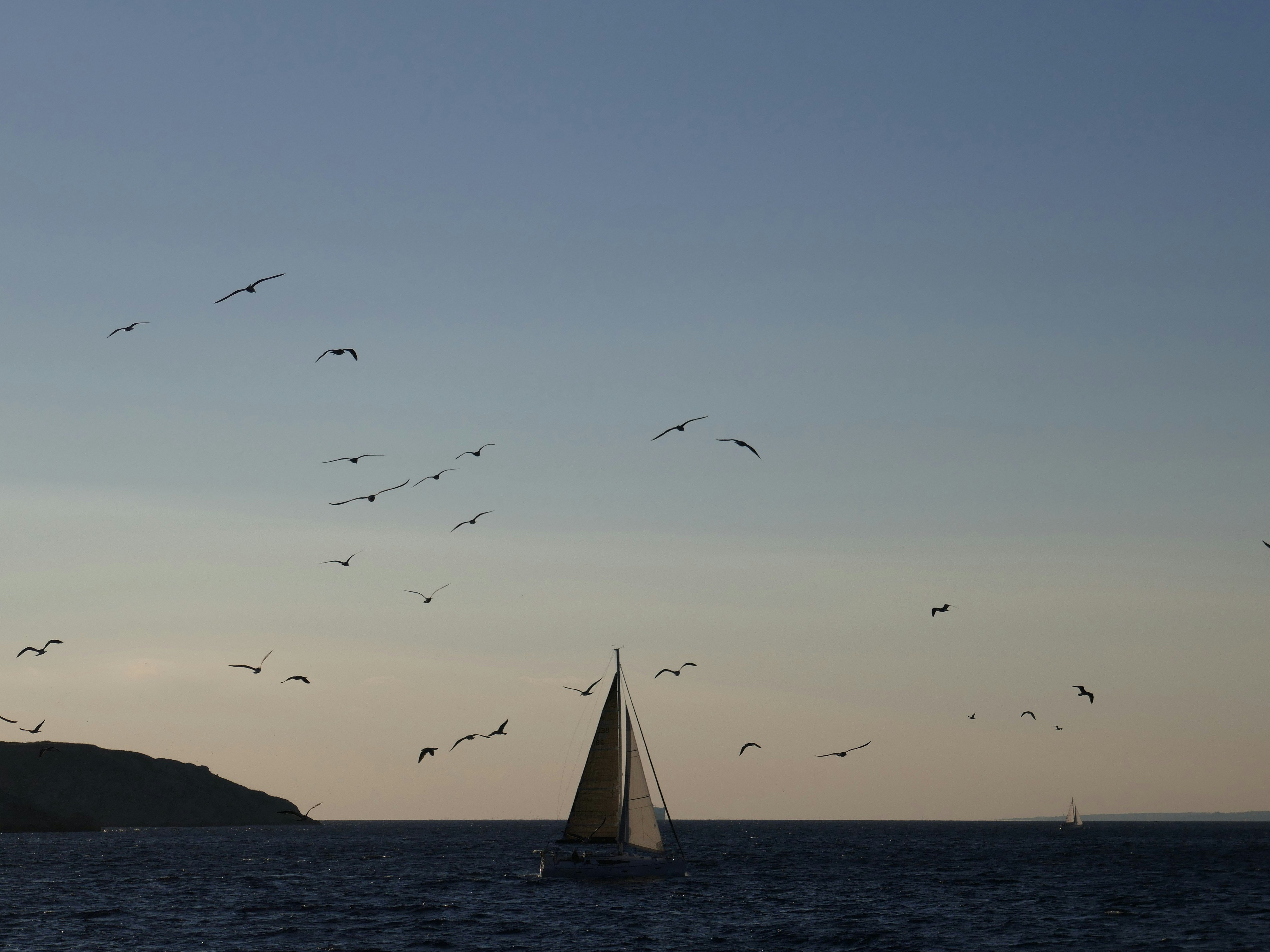 yate de vela en el mar con aves en el cielo al atardecer
