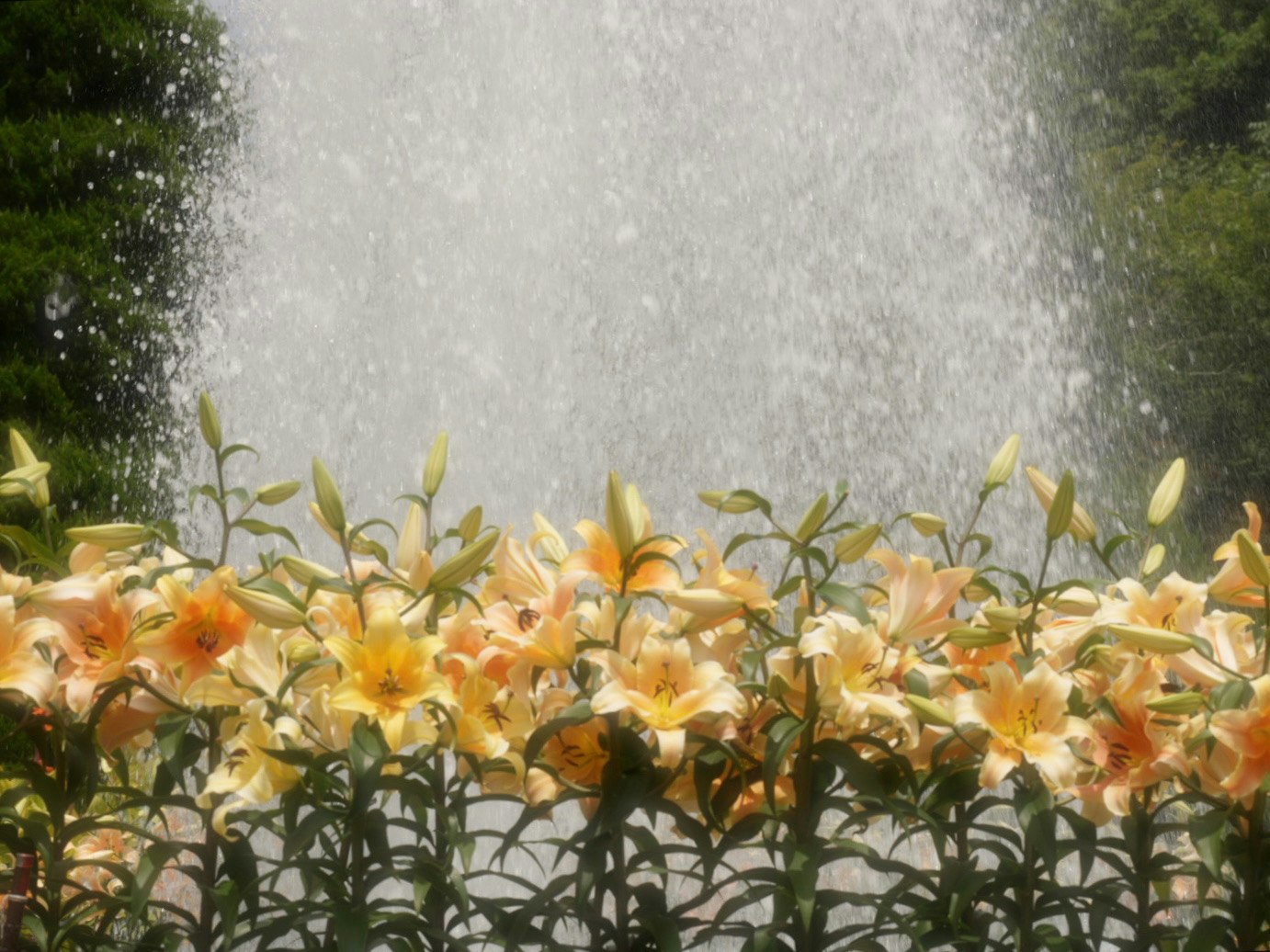 photo-NtA1qcIQ3Jc6s28YE4eC-image