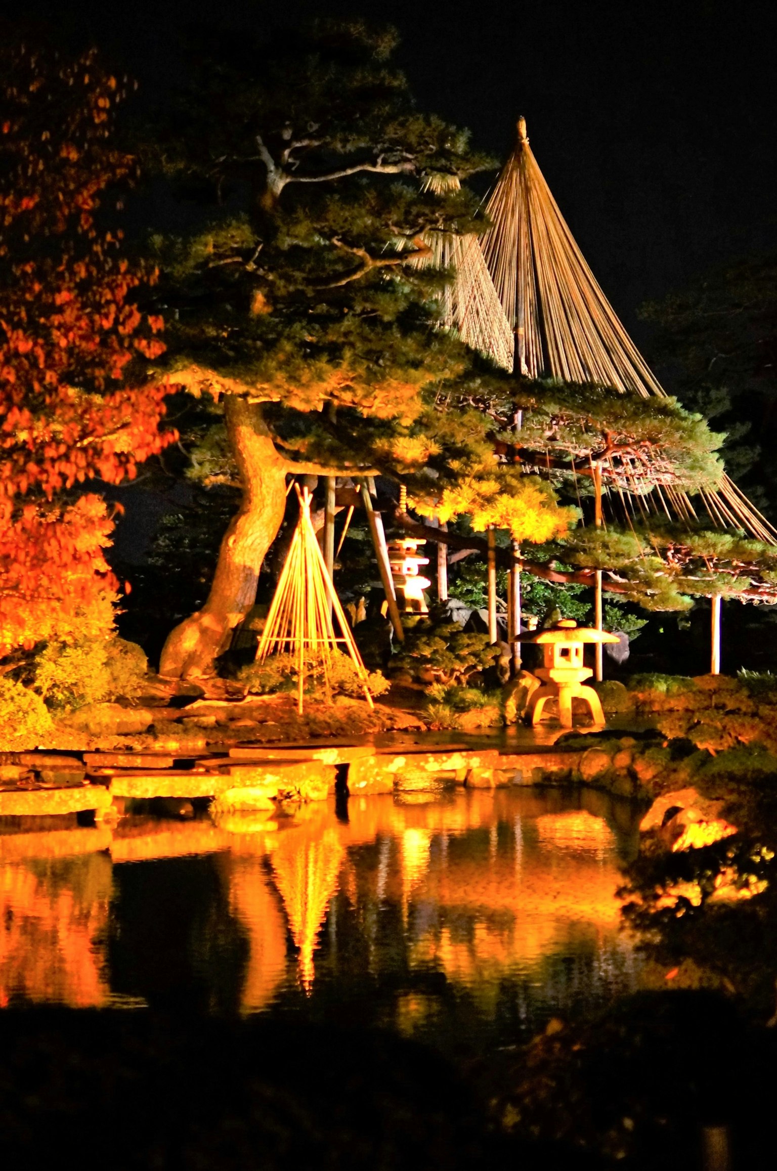 Vue nocturne paisible d'un jardin japonais avec de belles réflexions dans l'étang