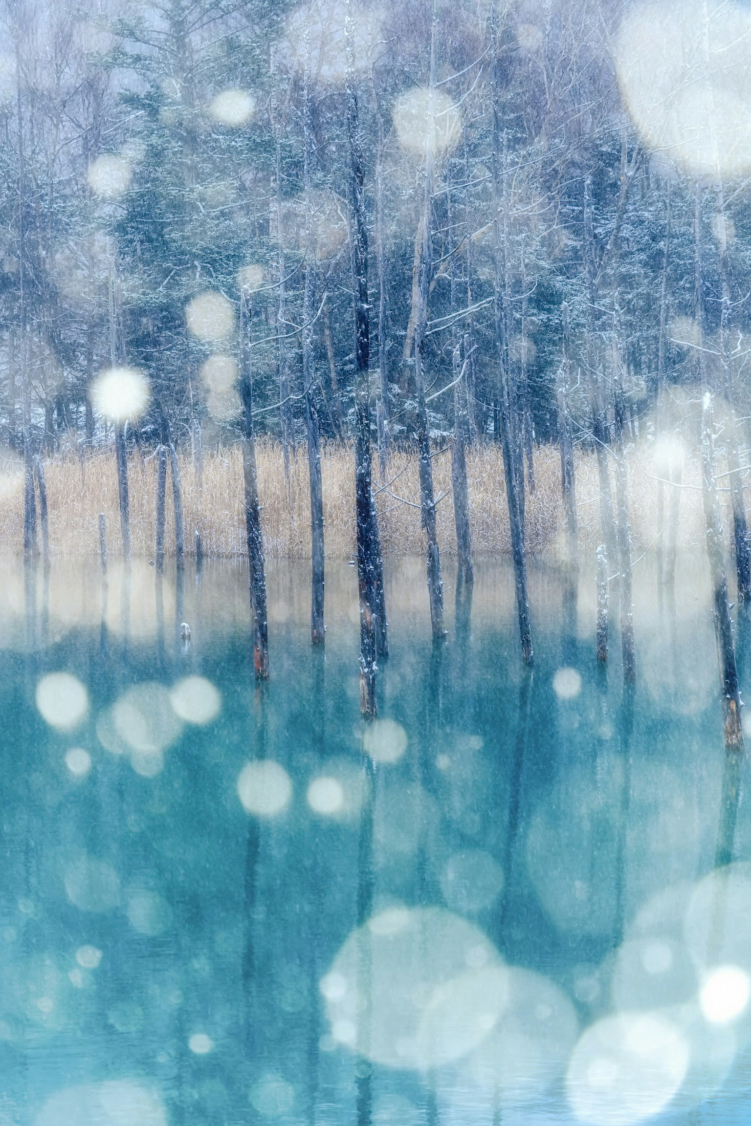 Winter landscape with falling snow over a blue water surface and trees
