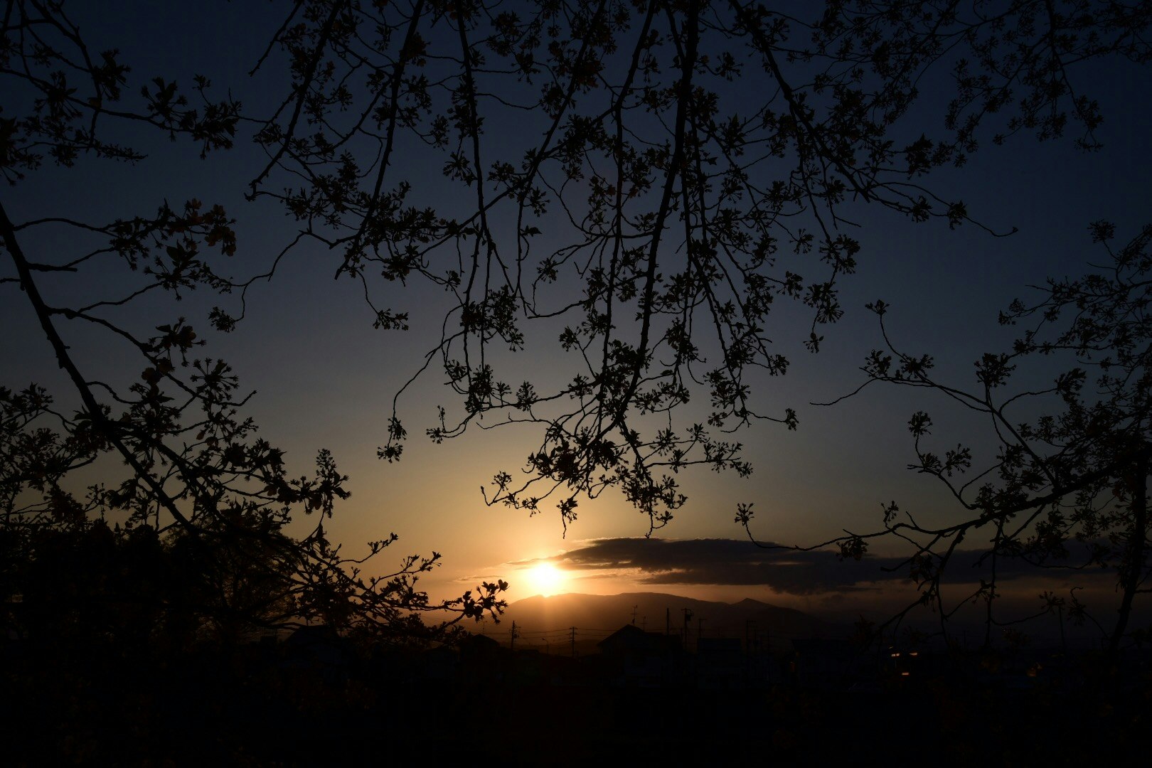 夕暮れの丘陵地に沈む夕日と木々のシルエット