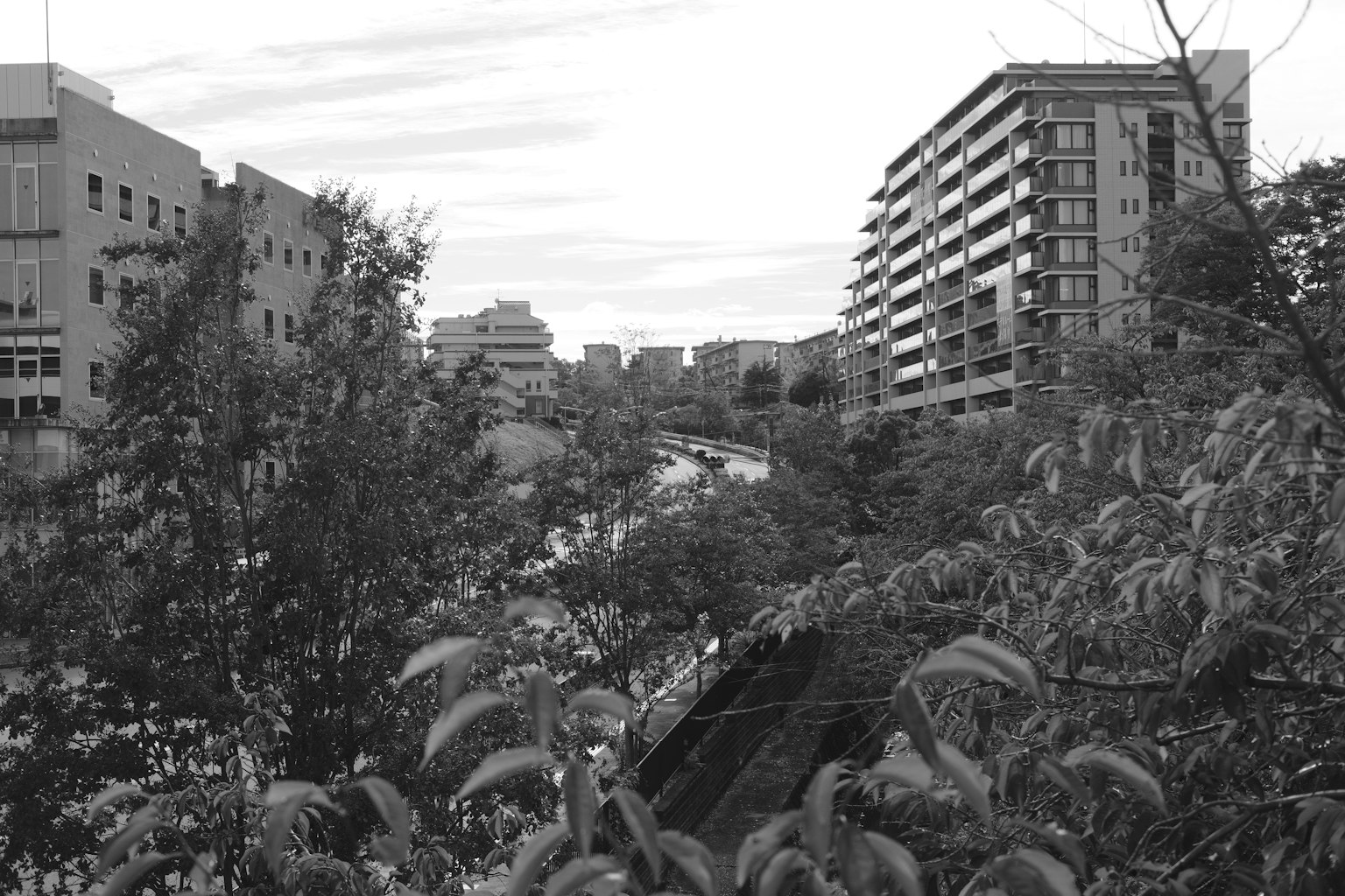 Black and white cityscape featuring lush greenery and high-rise buildings