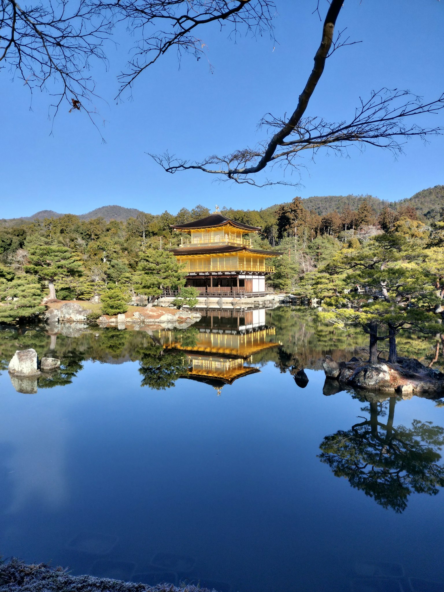 Vista del Kinkaku-ji che si riflette nel lago circondato dal verde