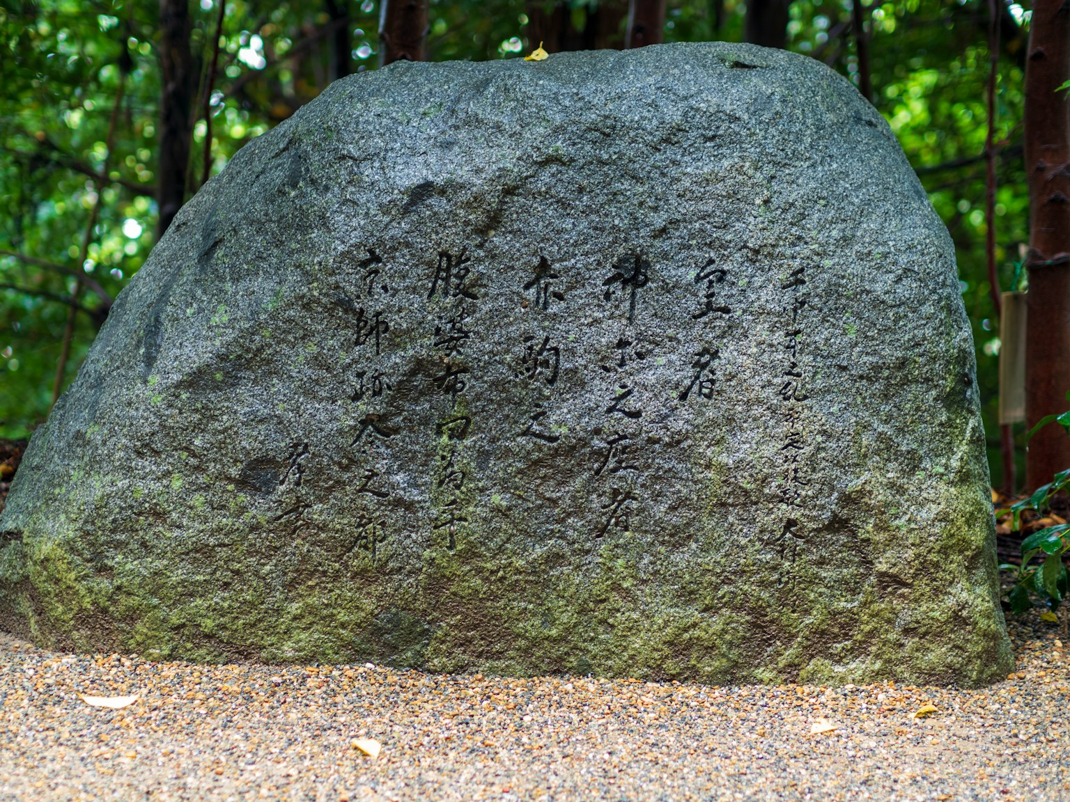 A large rock in nature with ancient inscriptions