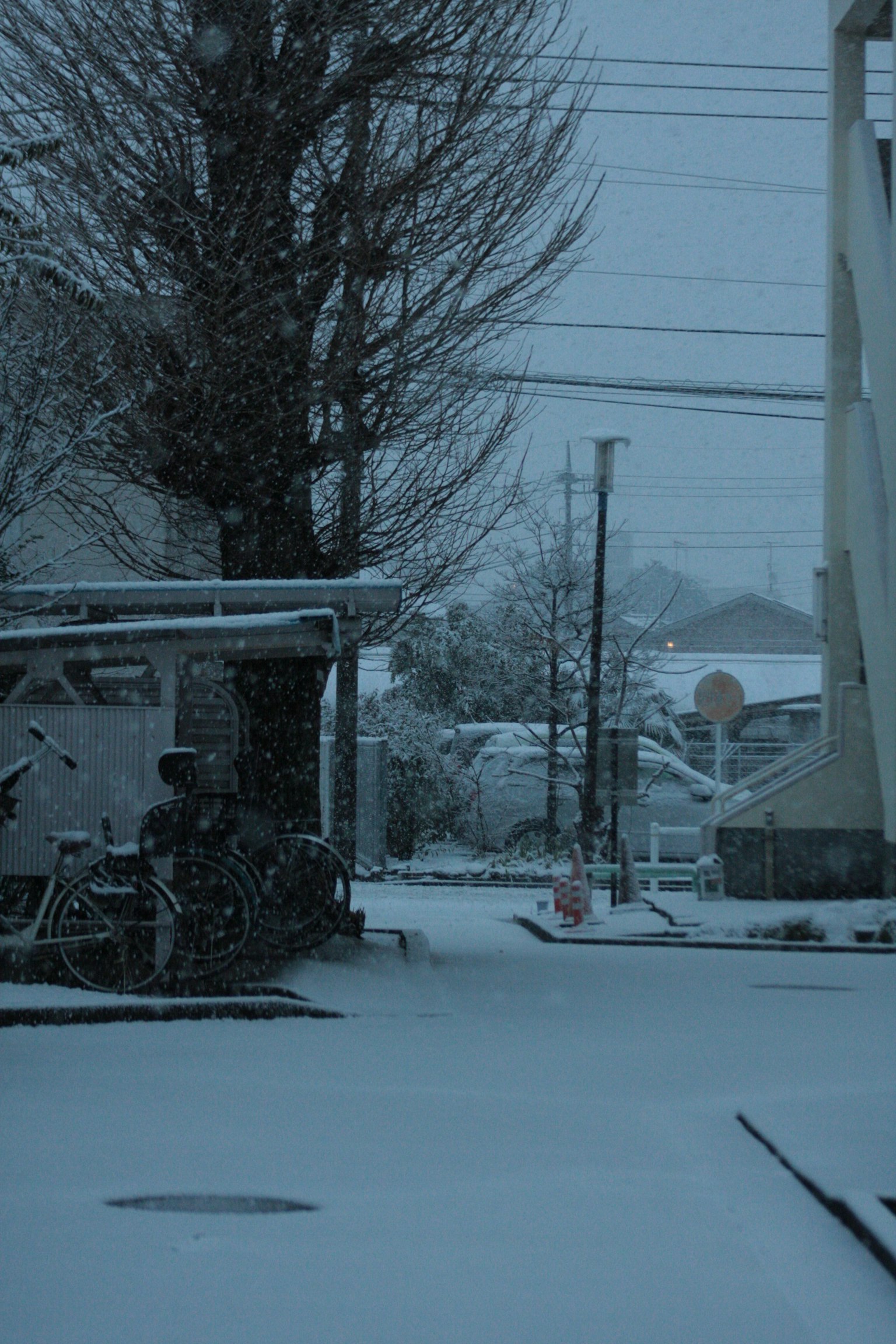 安靜的街道場景 下雪 自行車和樹木可見