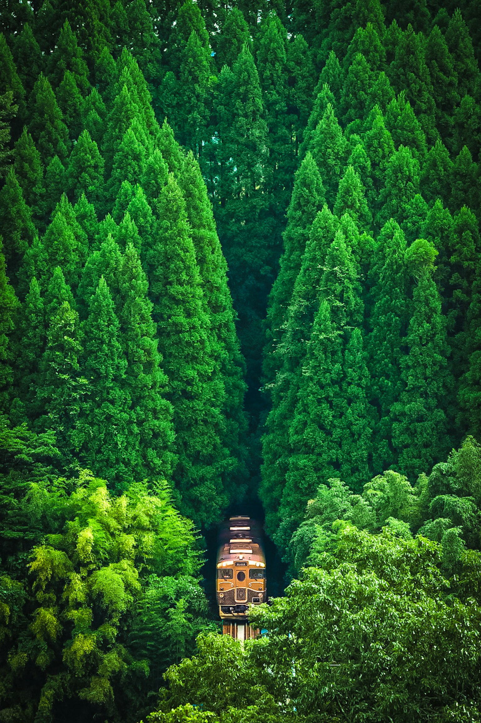 緑豊かな木々に囲まれた小道にある古い建物