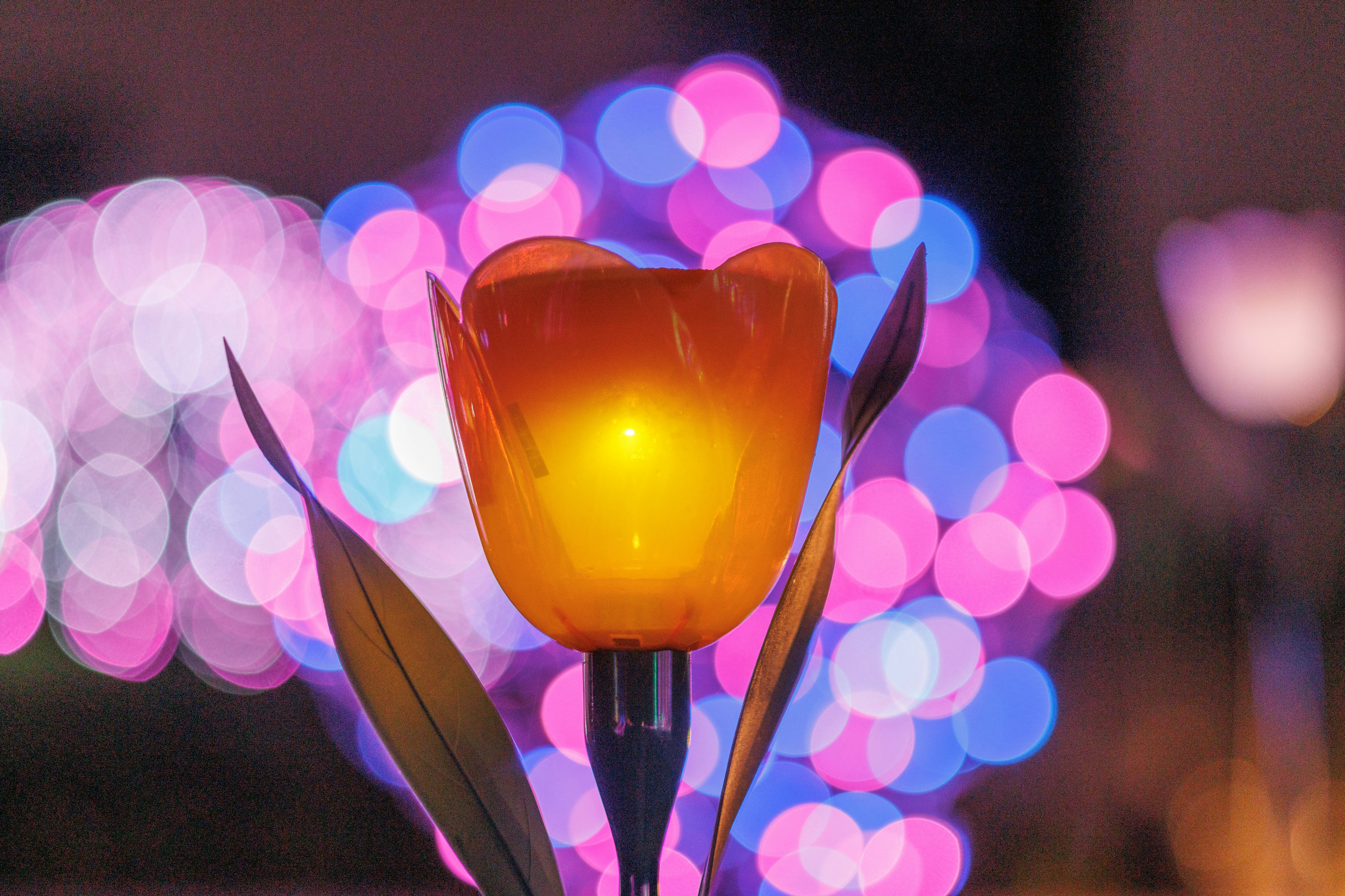 Tulpenförmige Lichtdekoration leuchtet in der Nacht