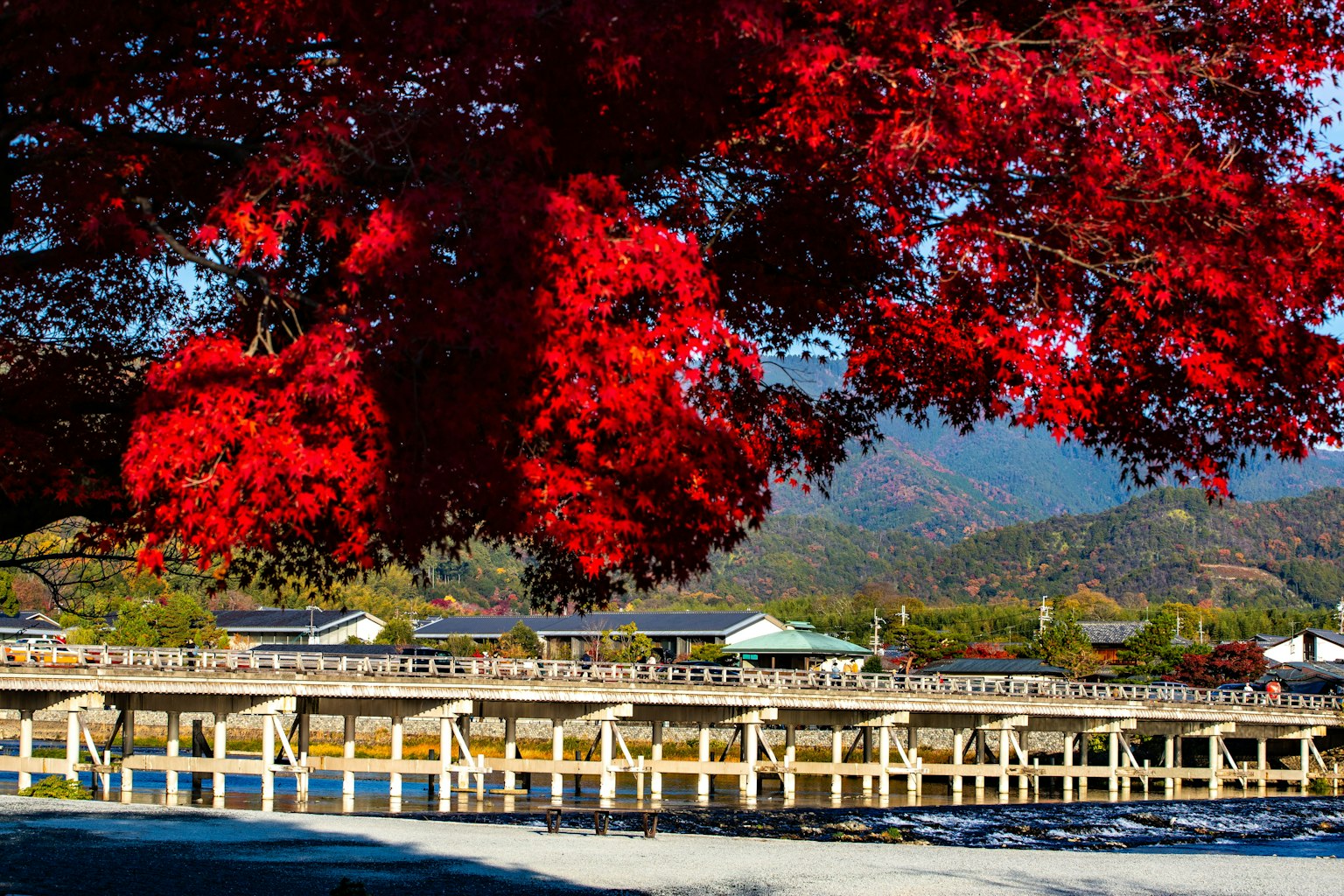 Vista escénica de hojas de arce rojas y un puente de madera en otoño