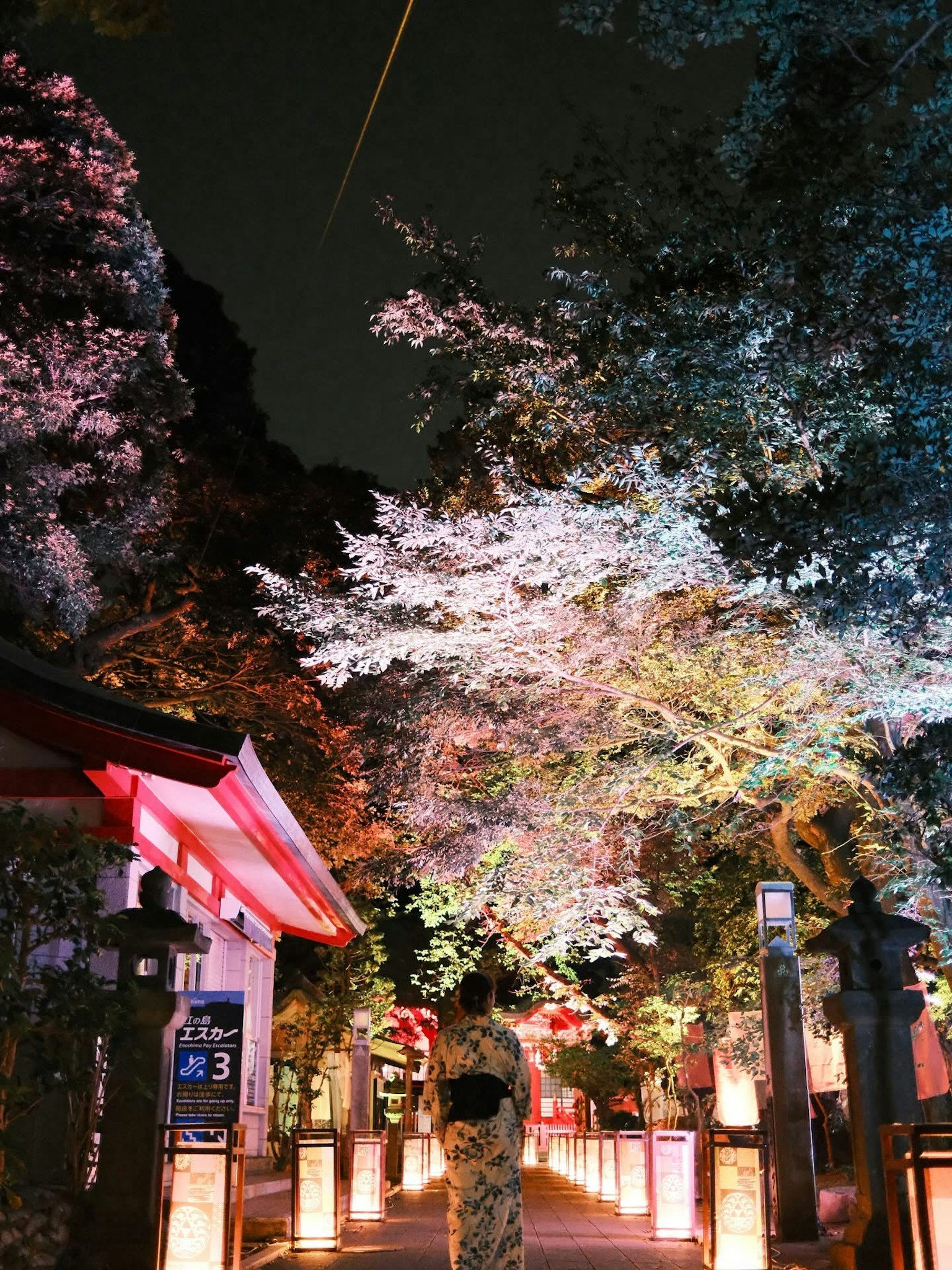 A woman in a kimono standing under illuminated cherry blossoms at night