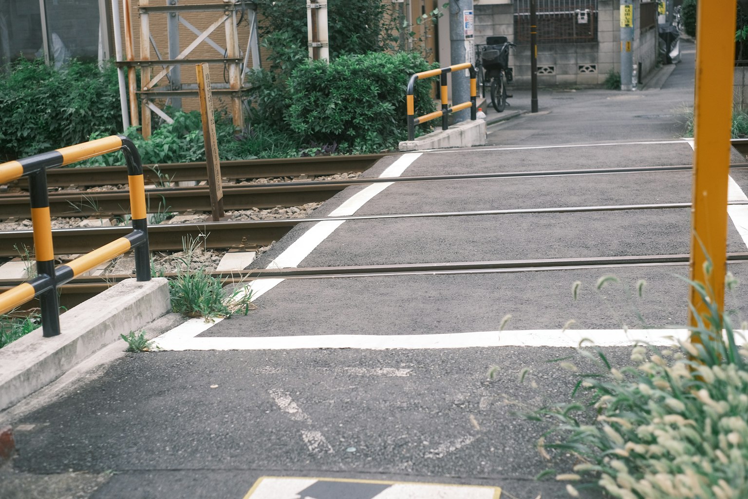 铁路道口和周围绿化