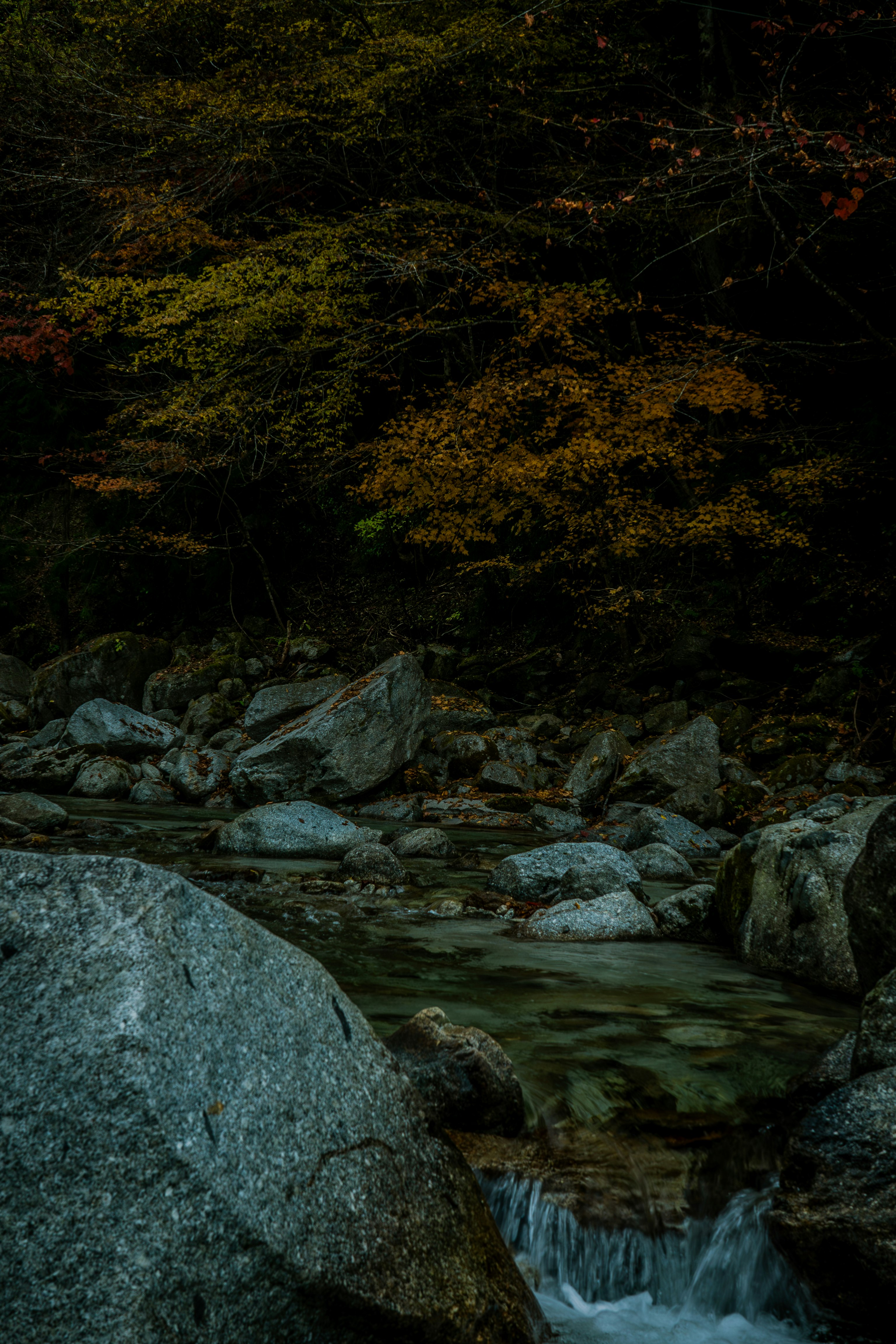 岩の多い渓流と森に囲まれた自然の風景
