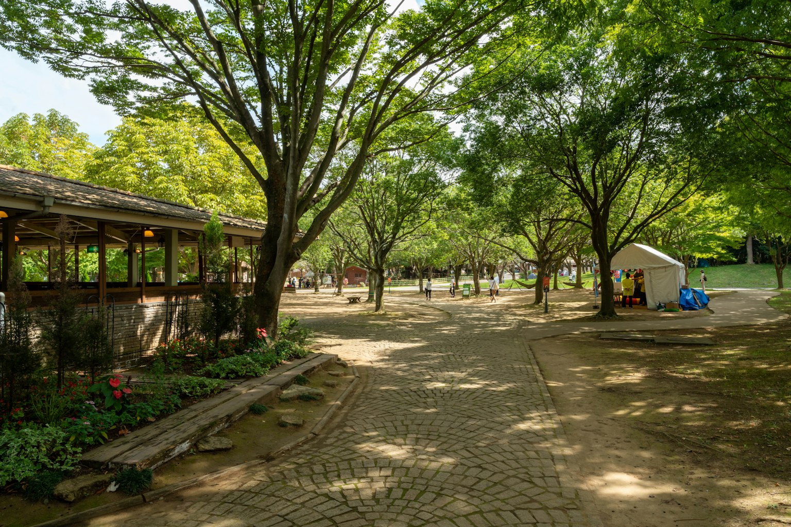 Lush park landscape with tree-lined paths and a small shed visible