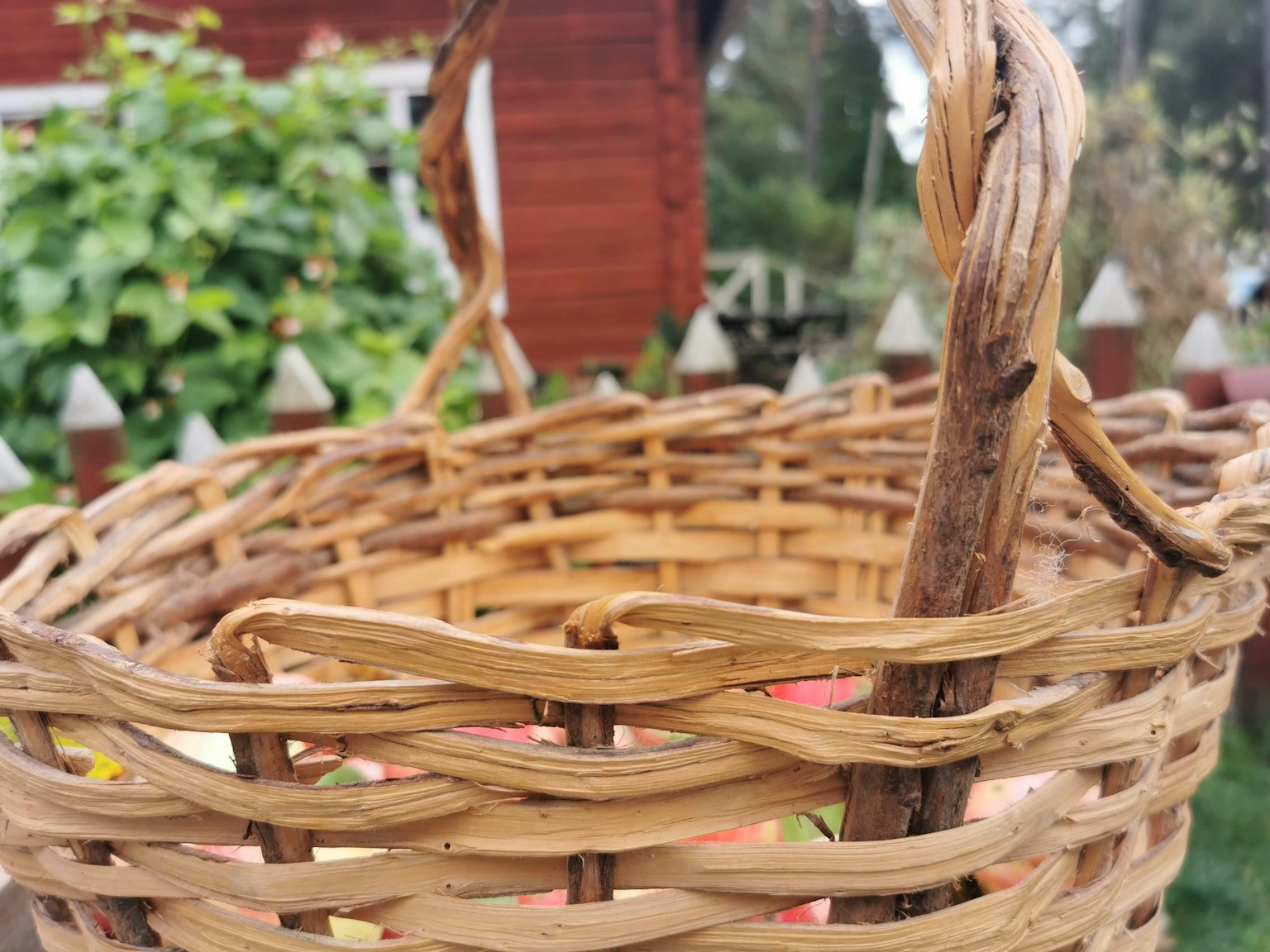 Close-up of a woven basket with a wooden handle green plants and a red shed in the background