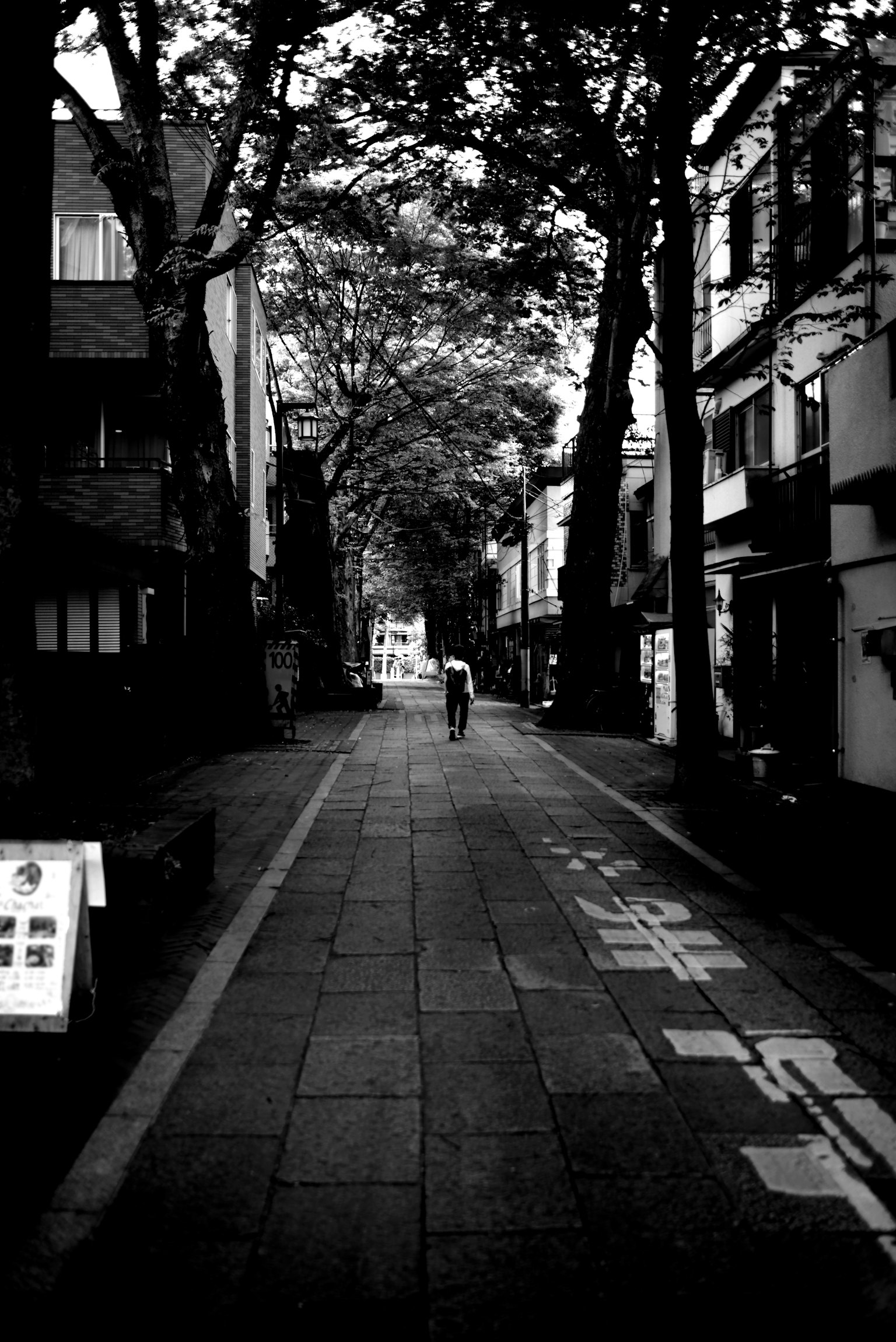 A quiet street lined with trees and a solitary person walking