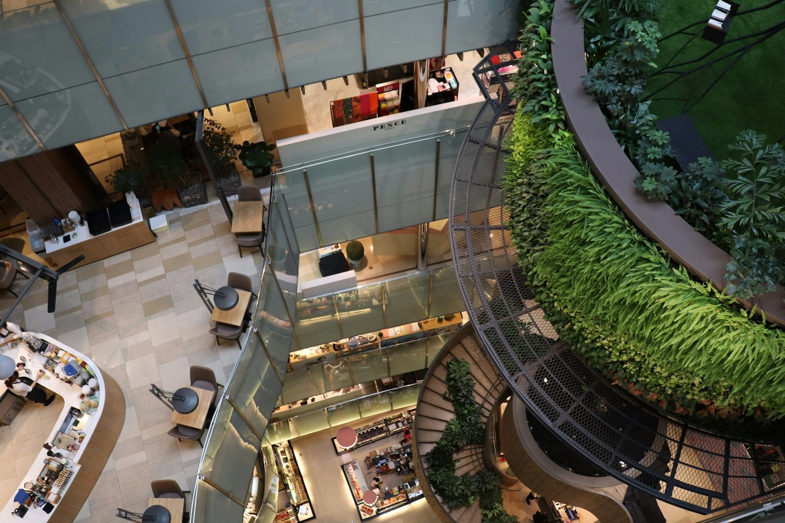 Interior view of a modern building featuring greenery and spiral staircase