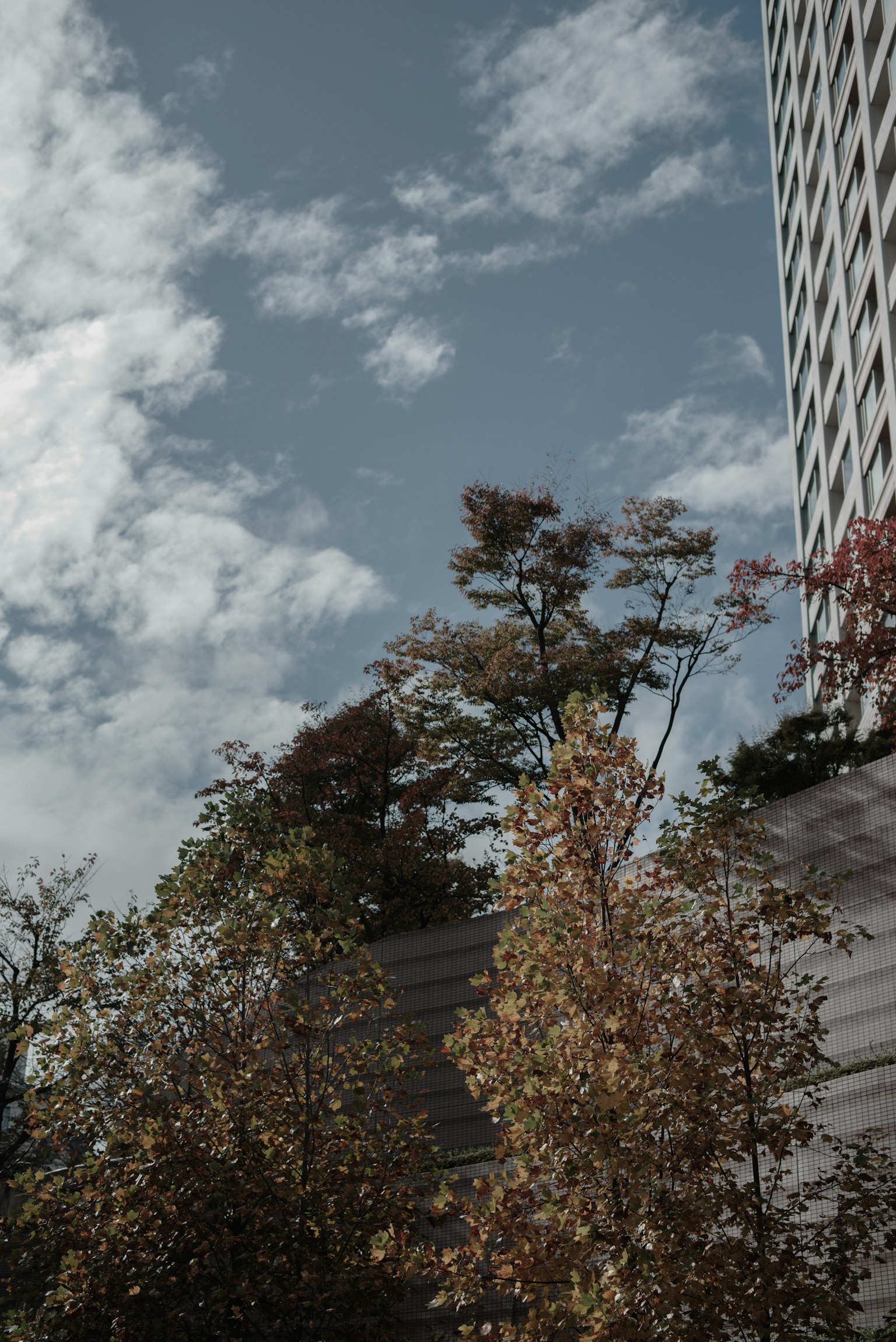 Gebäude mit bunten Bäumen unter einem bewölkten Himmel