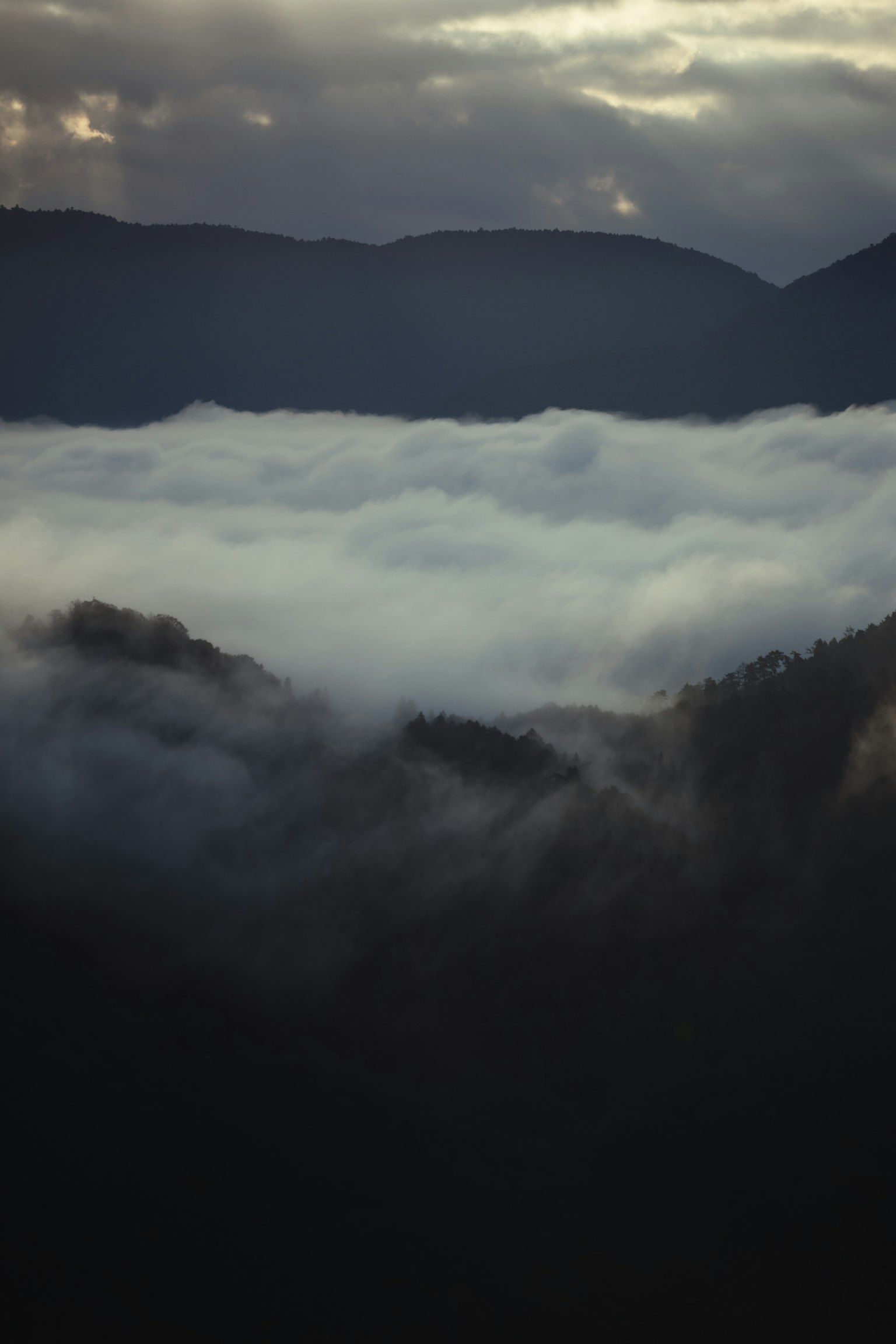 Mountain landscape shrouded in fog with a sea of clouds