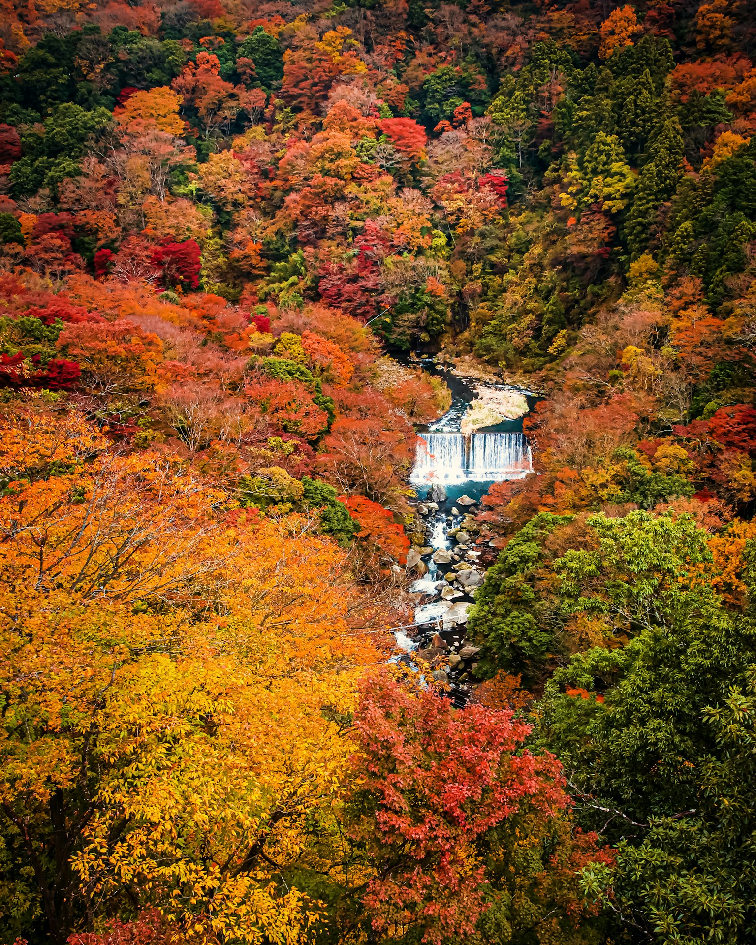 秋の紅葉に囲まれた滝の風景 色とりどりの木々が美しい