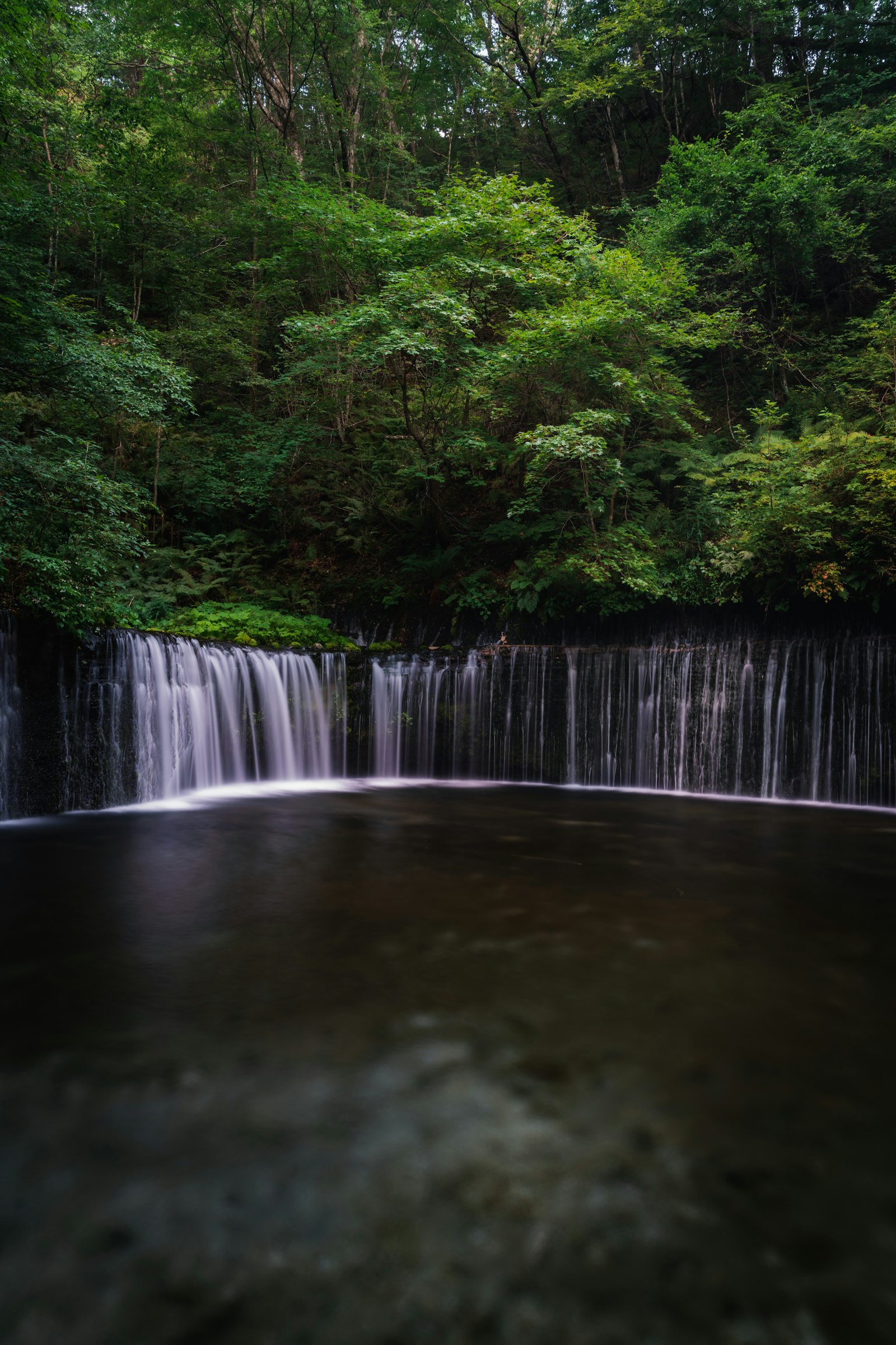 Cascada serena que fluye en una piscina tranquila rodeada de vegetación exuberante