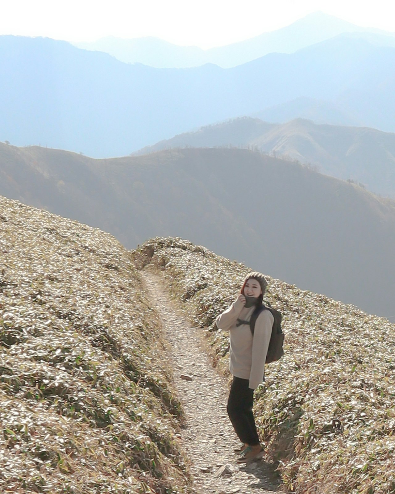 徳島県三好市・剣山の稜線を歩く登山者の姿
