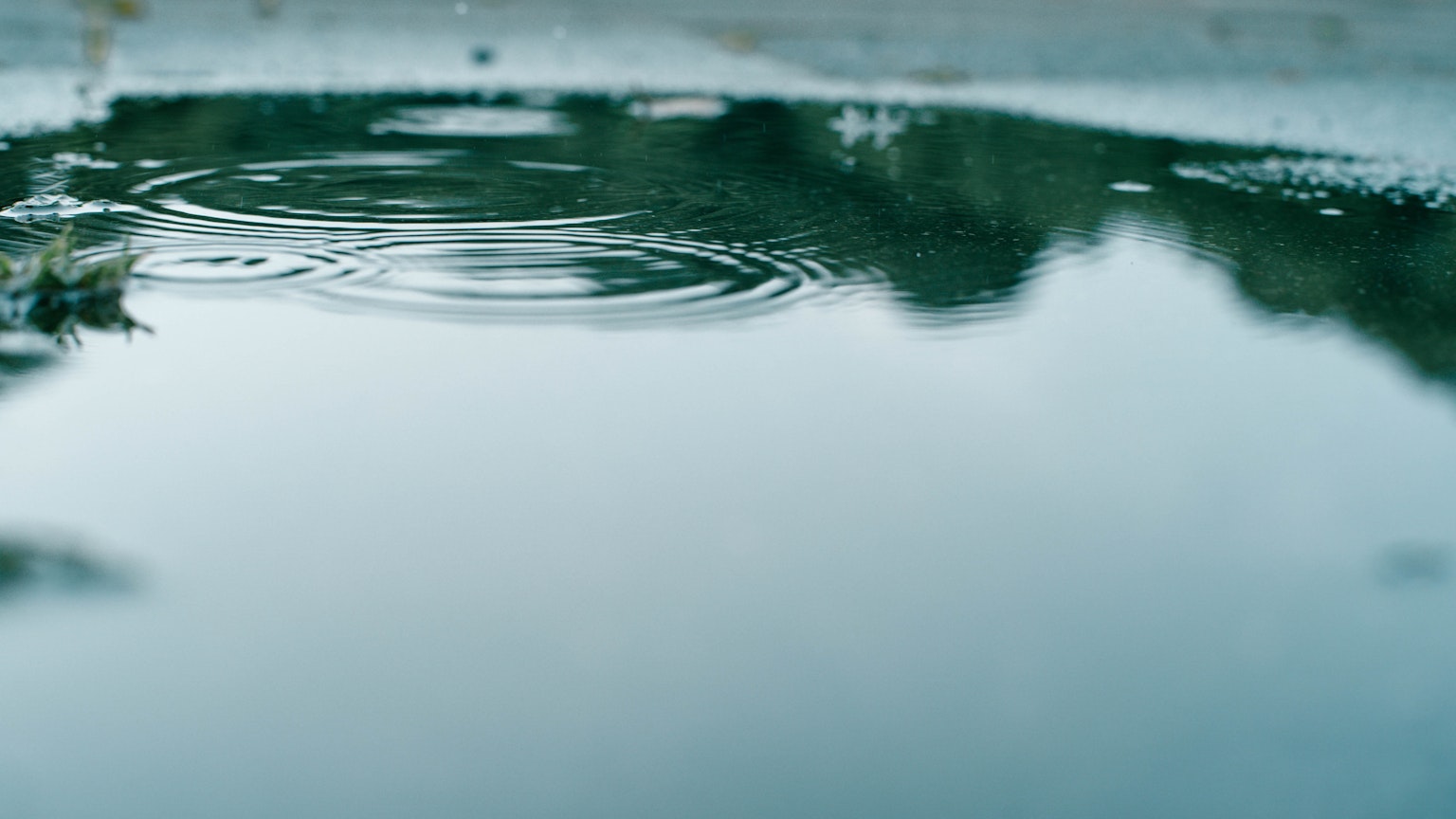 Réflexion des arbres verts dans une flaque d'eau avec des ondulations