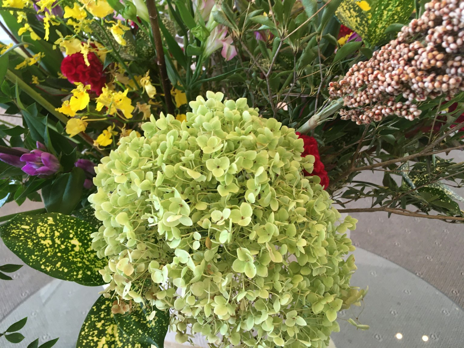 Grüne Blütenköpfe mit lebhaften farbigen Blumen im Hintergrund
