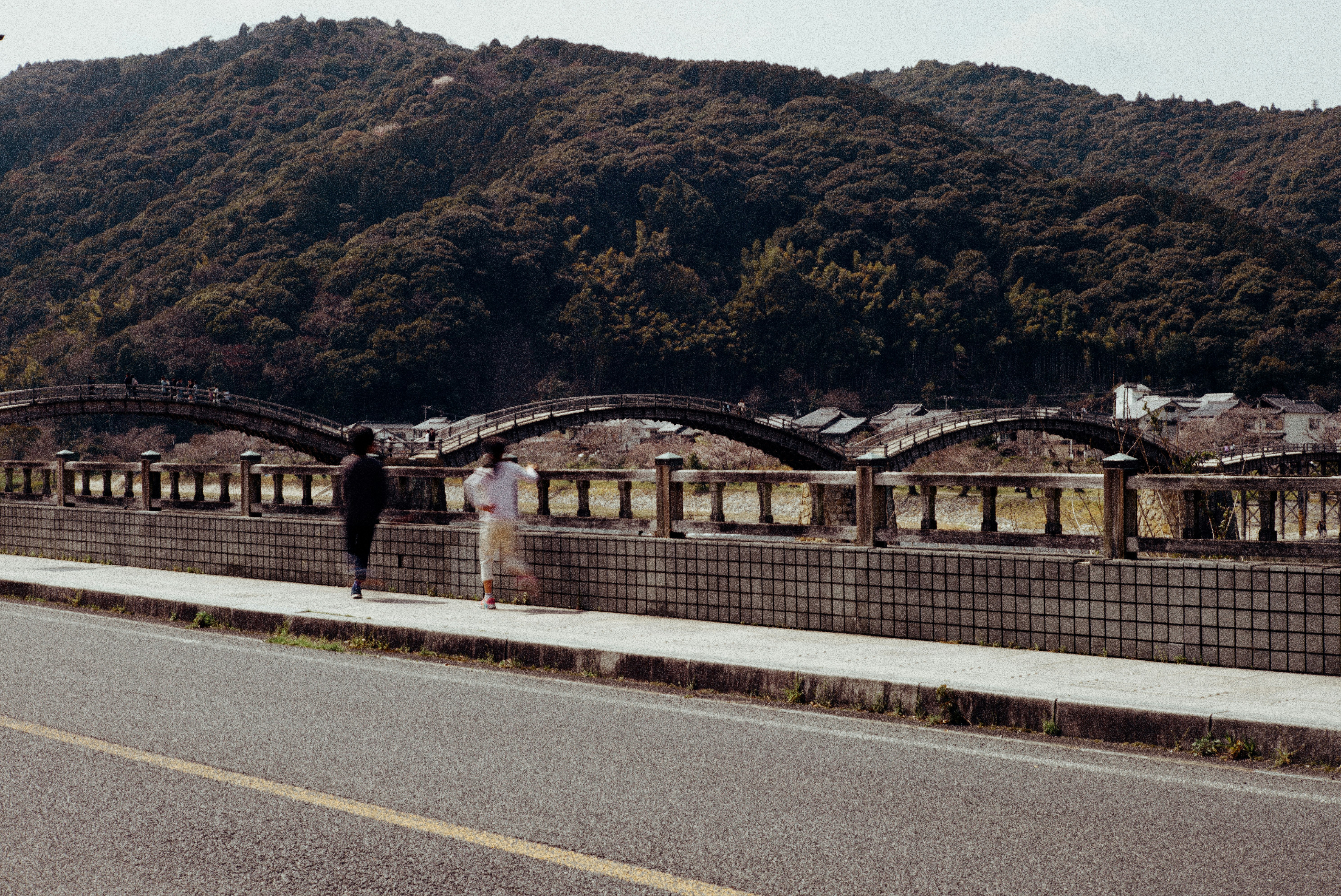 錦帯橋のアーチと岩国の川沿いの景色