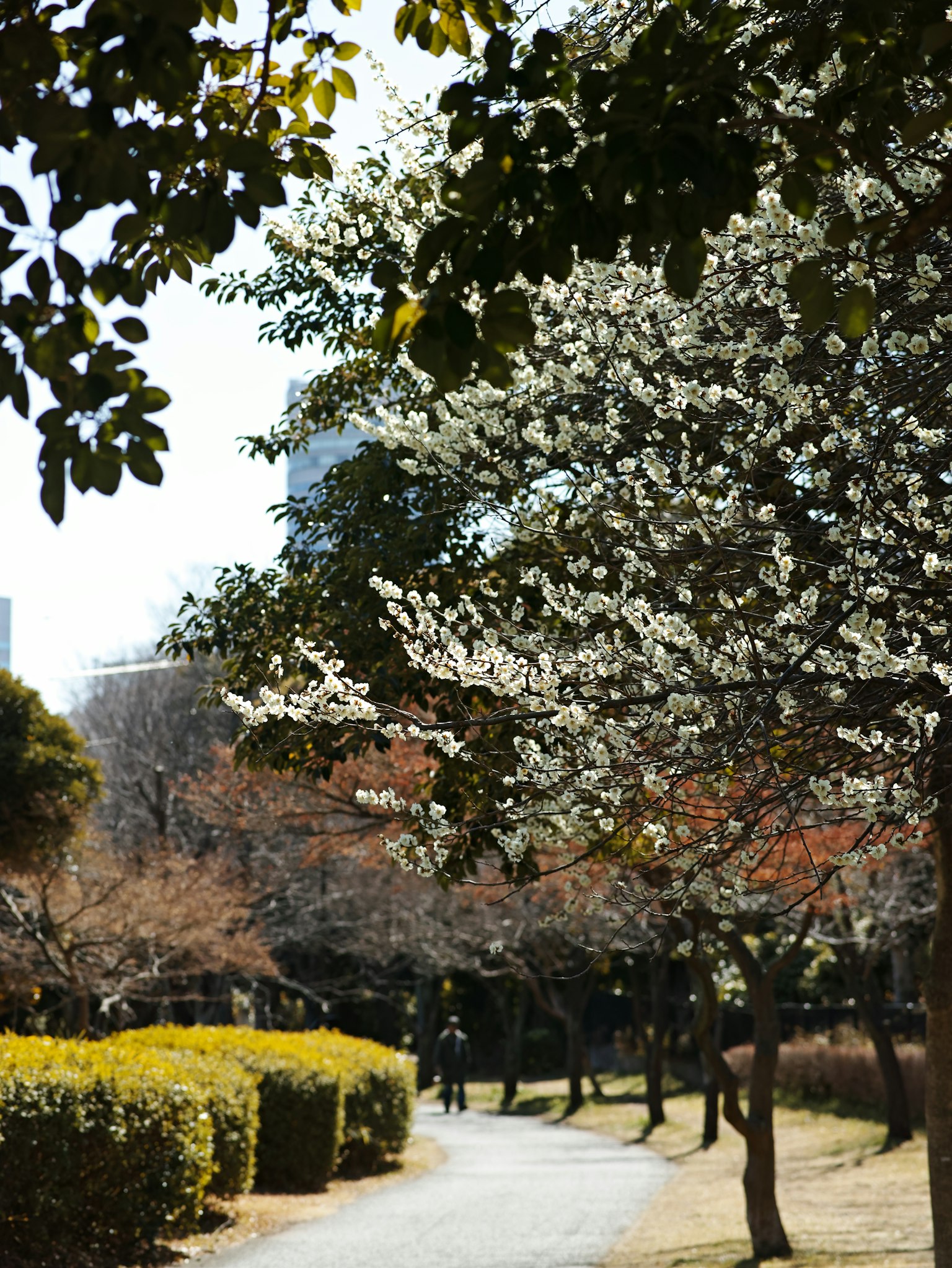 photo-O1qEkGNUYxMl8w4aZ4UU-image