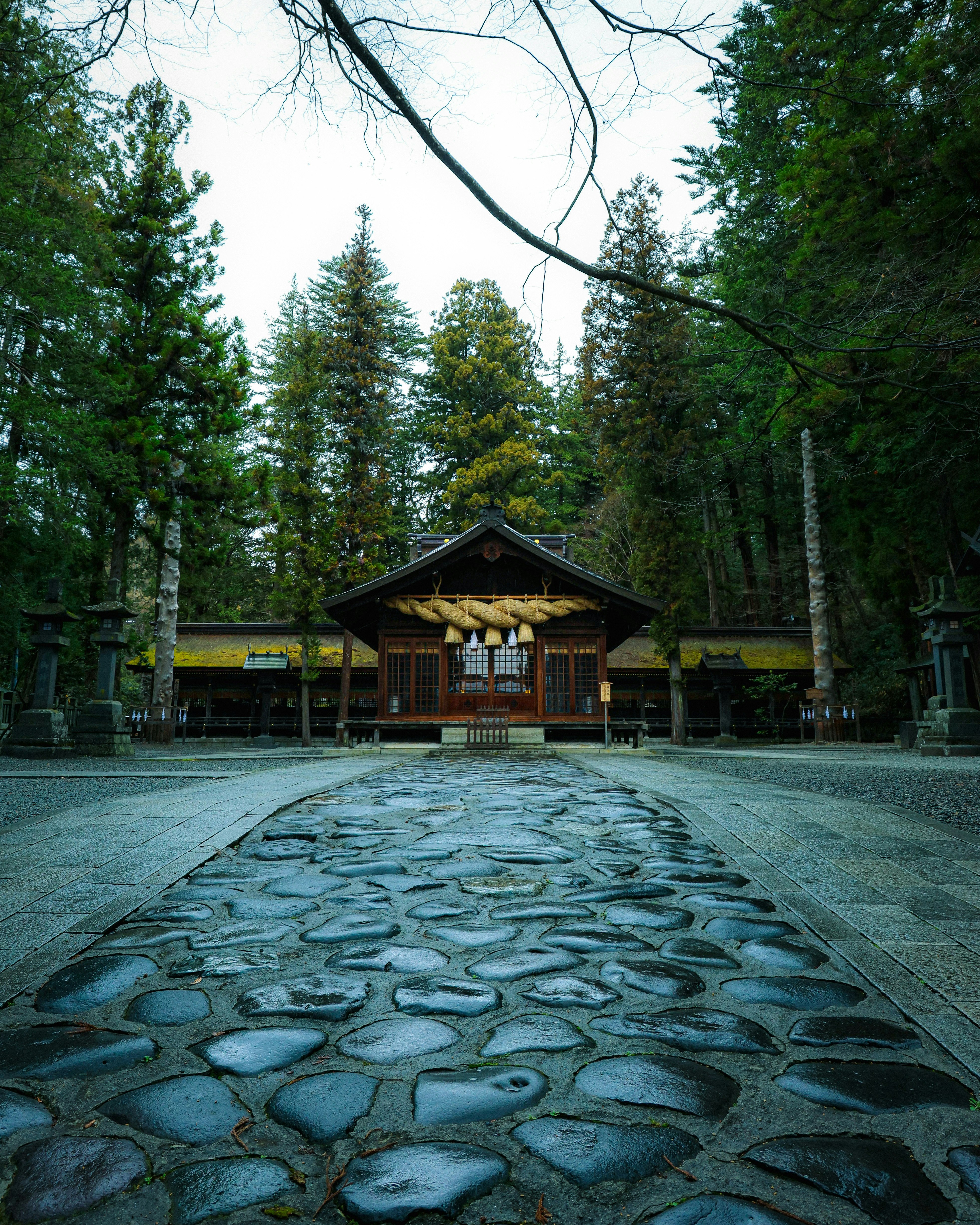 Mossy stone path leading to a wooden shrine hall