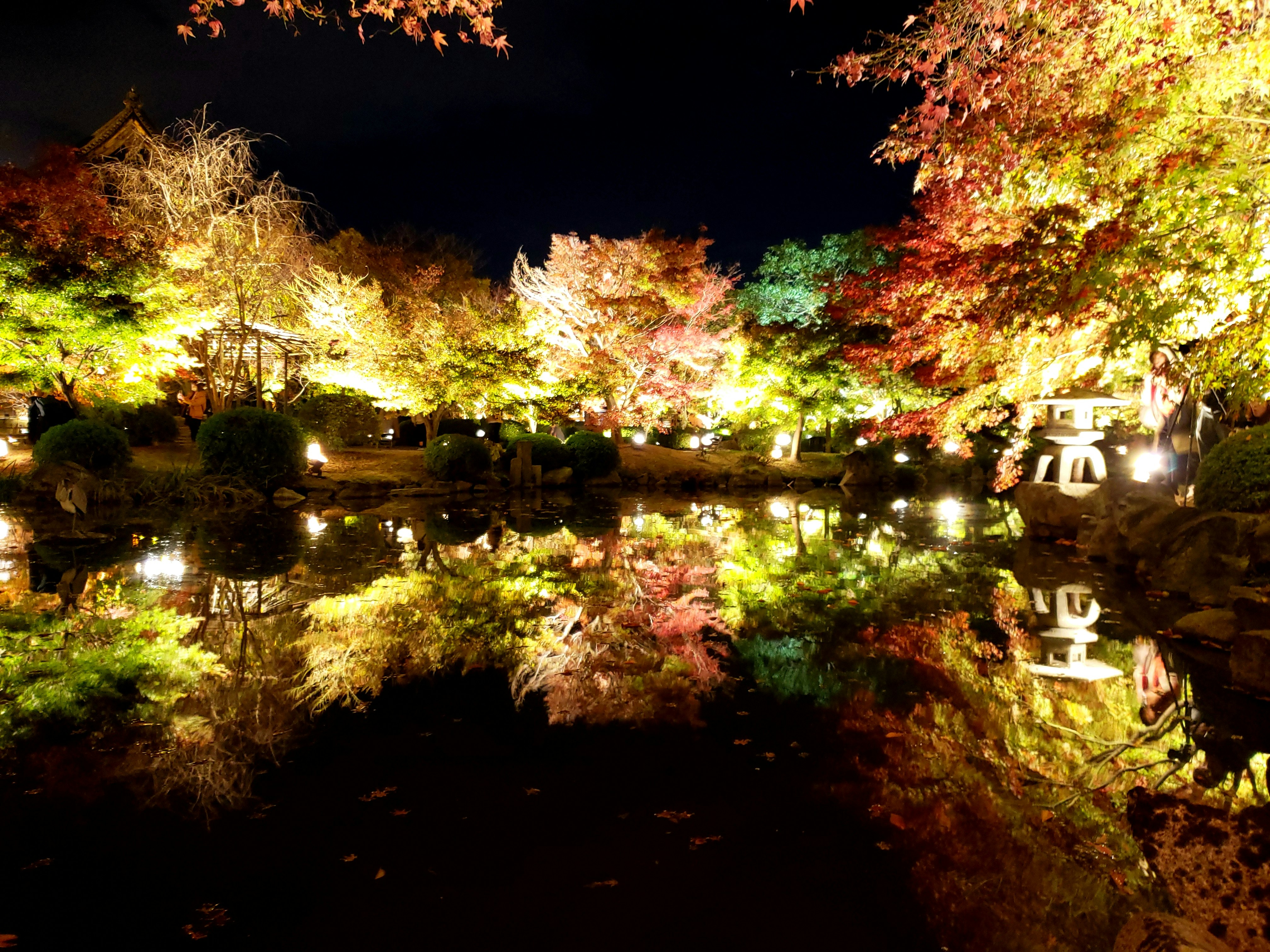 Giardino notturno illuminato da foglie autunnali e riflessi sull’acqua