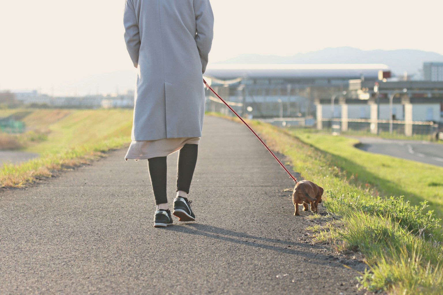 Eine Person, die mit einem kleinen Hund auf einem Parkweg spaziert