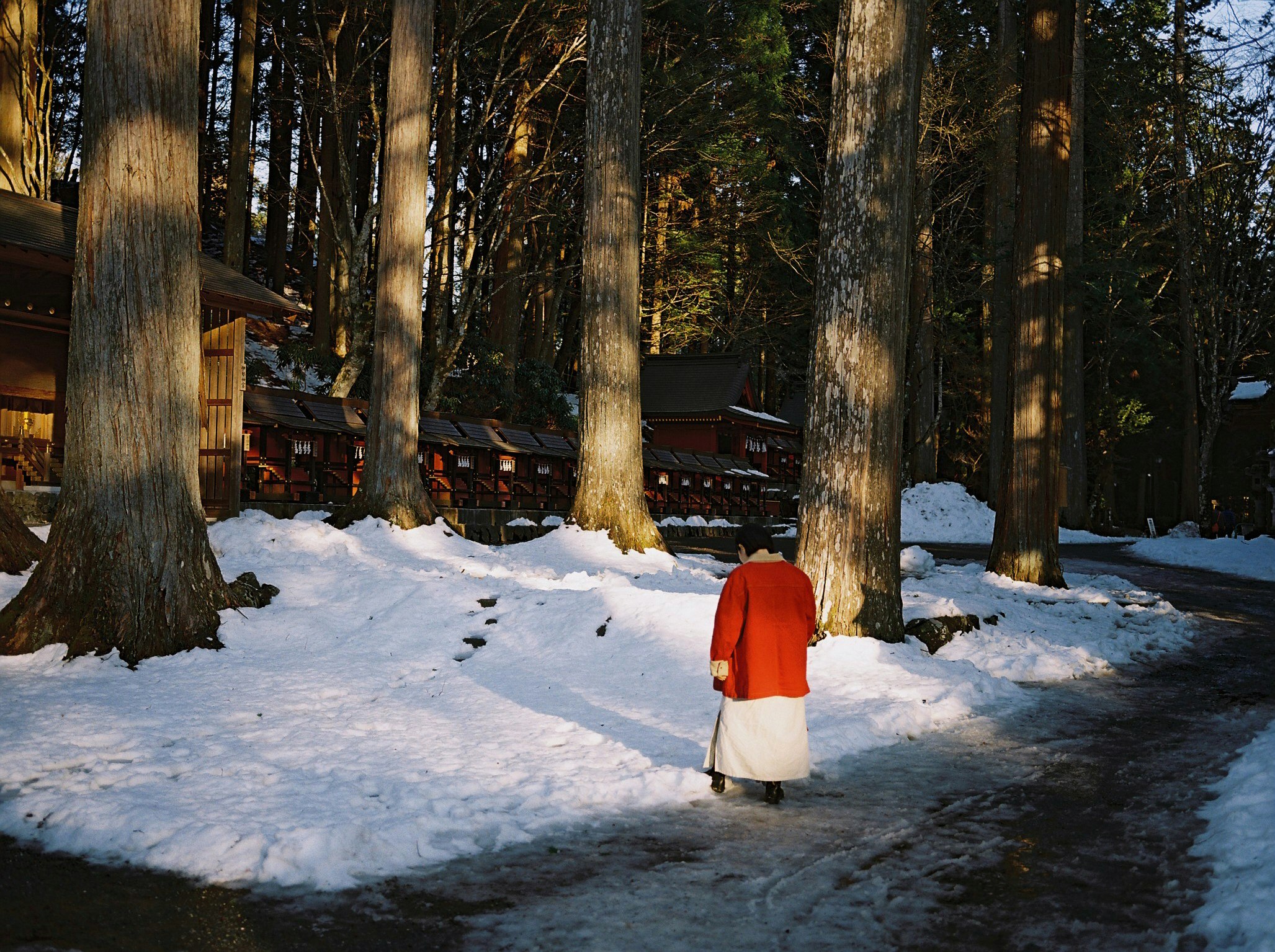 a person in a red coat walking along a snowy forest path