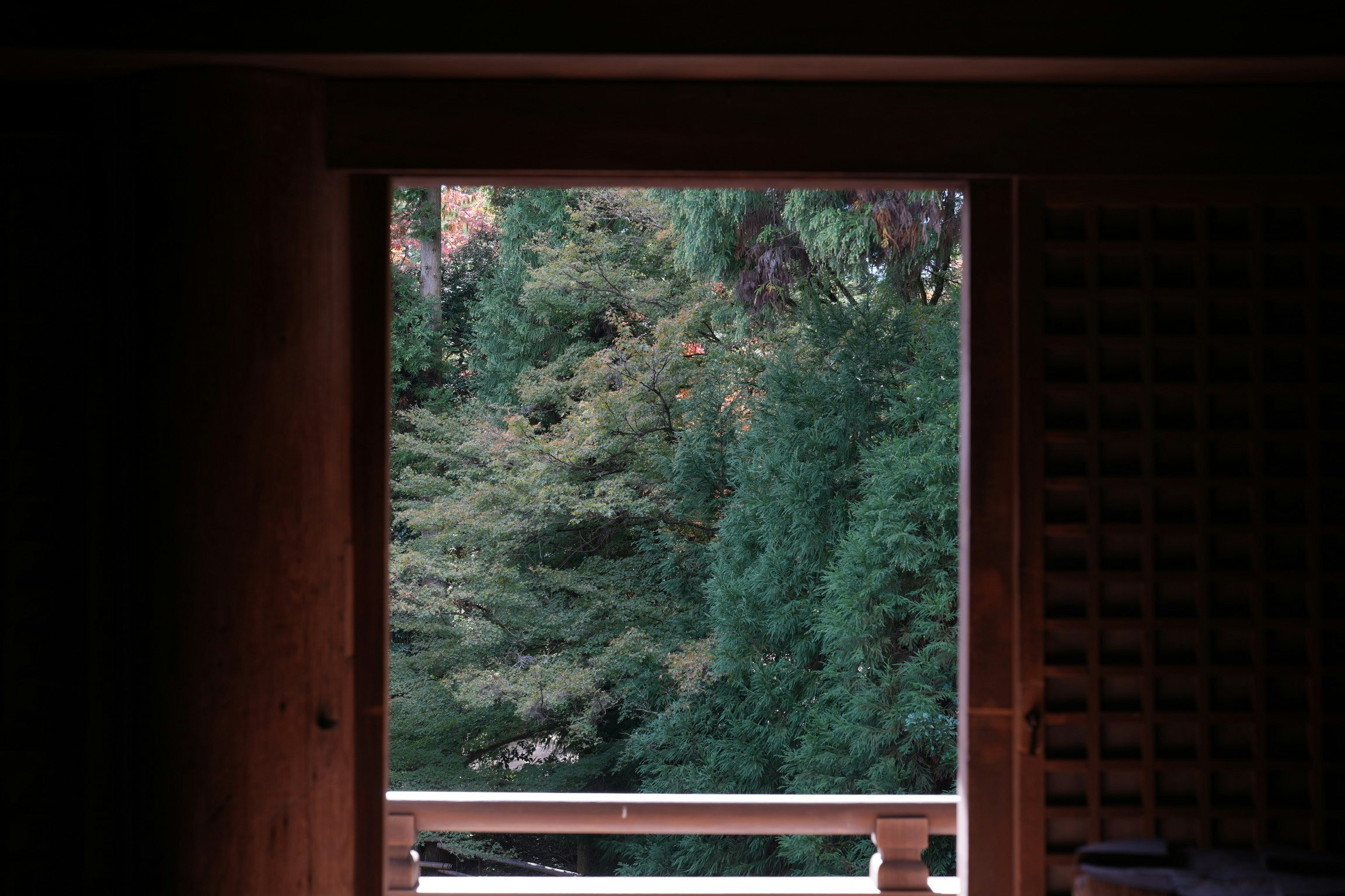 photo-O2wUwBRo7Ekp9JgpAIse-image