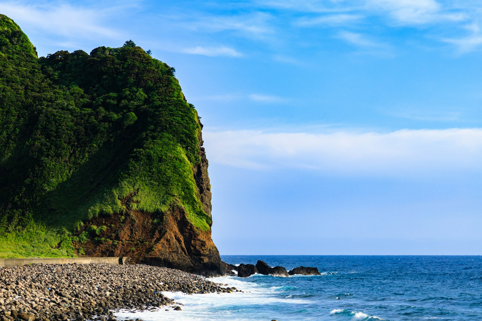 Lush green cliff with a blue ocean scene