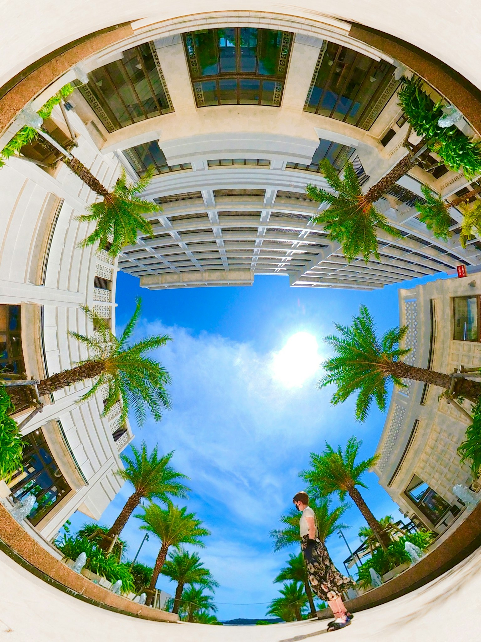 Góc nhìn fisheye của cảnh nhiệt đới với cây cọ và tòa nhà cao dưới bầu trời xanh