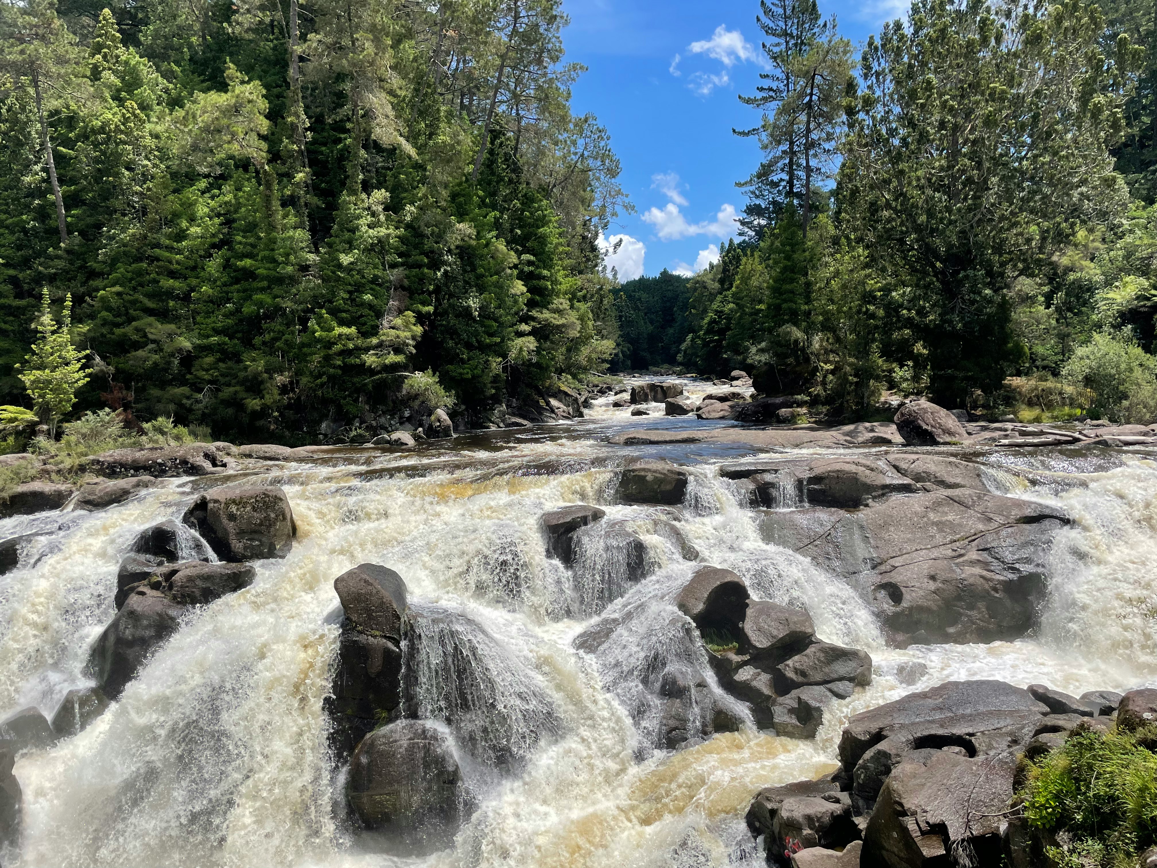 cascada y rápidos rocosos en un desfiladero boscoso