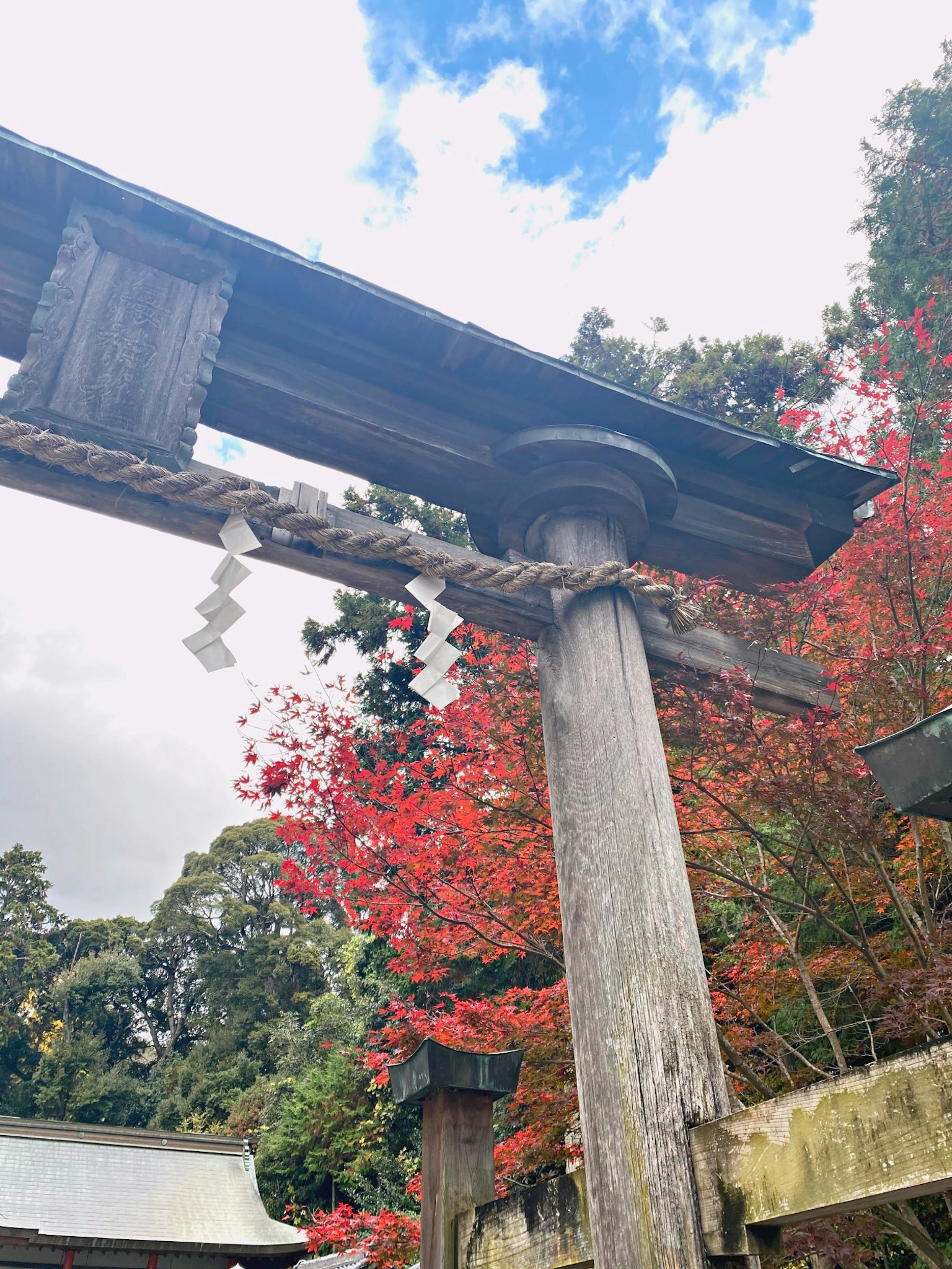Portale Torii con foglie rosse vivaci e cielo blu