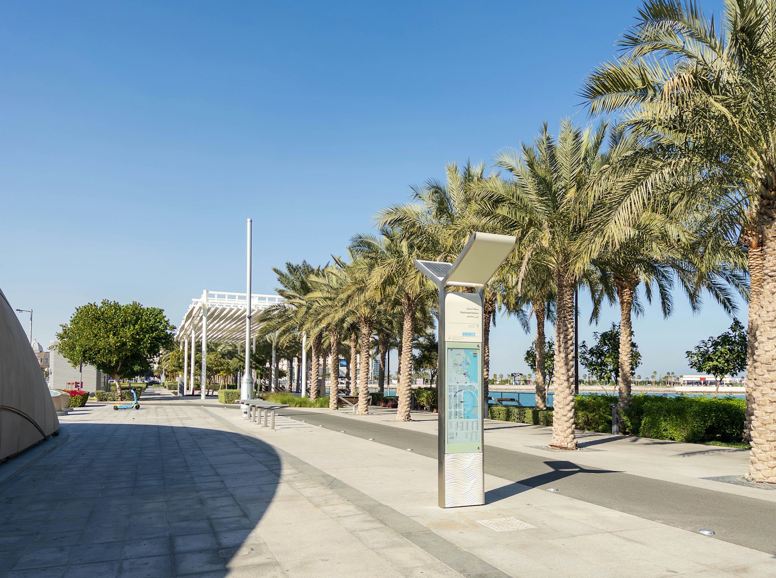 Palmeras alineadas en un paseo bajo un cielo azul claro con un panel informativo