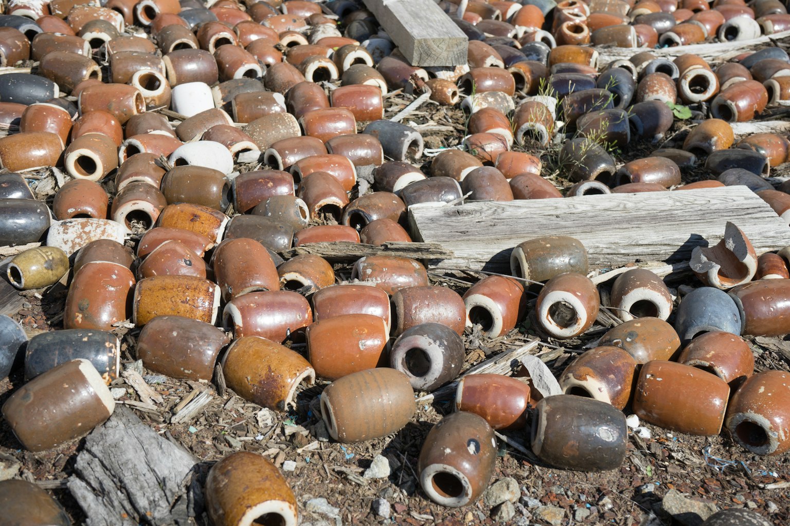 Un paisaje con numerosas ollas de barro esparcidas por el suelo