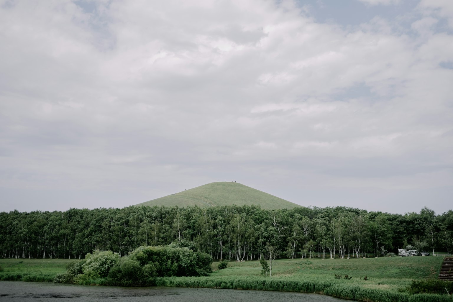 ทิวทัศน์ธรรมชาติที่มีเนินเขาสีเขียวและต้นไม้