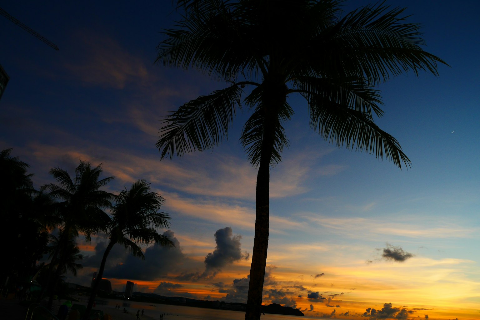 Silhouette pohon kelapa melawan langit senja yang berwarna-warni