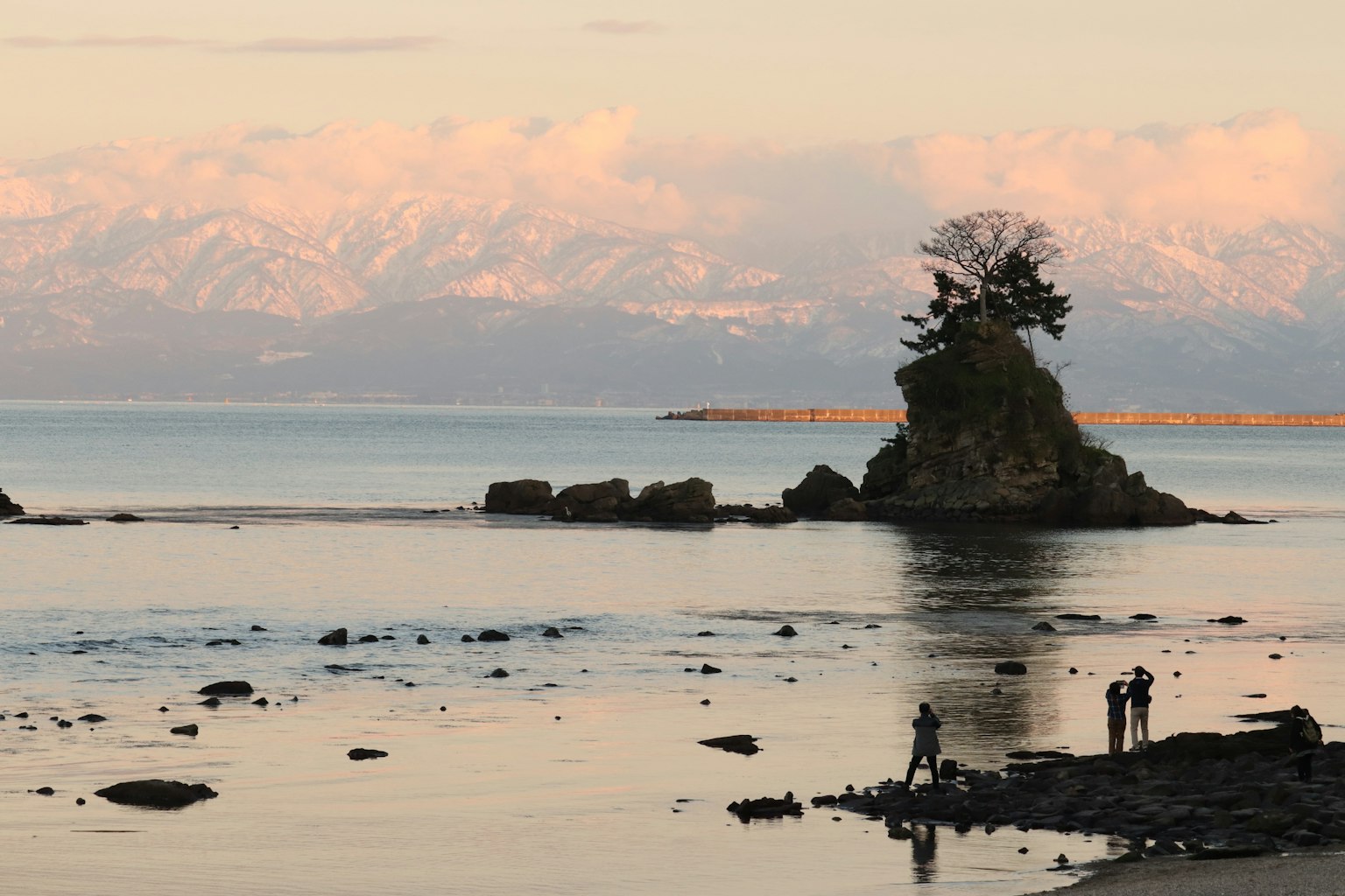 Scenic view of a small island with a tree surrounded by calm waters