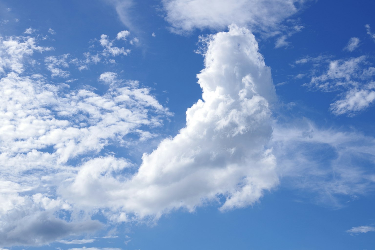 Nuvole bianche in un cielo blu con forme diverse