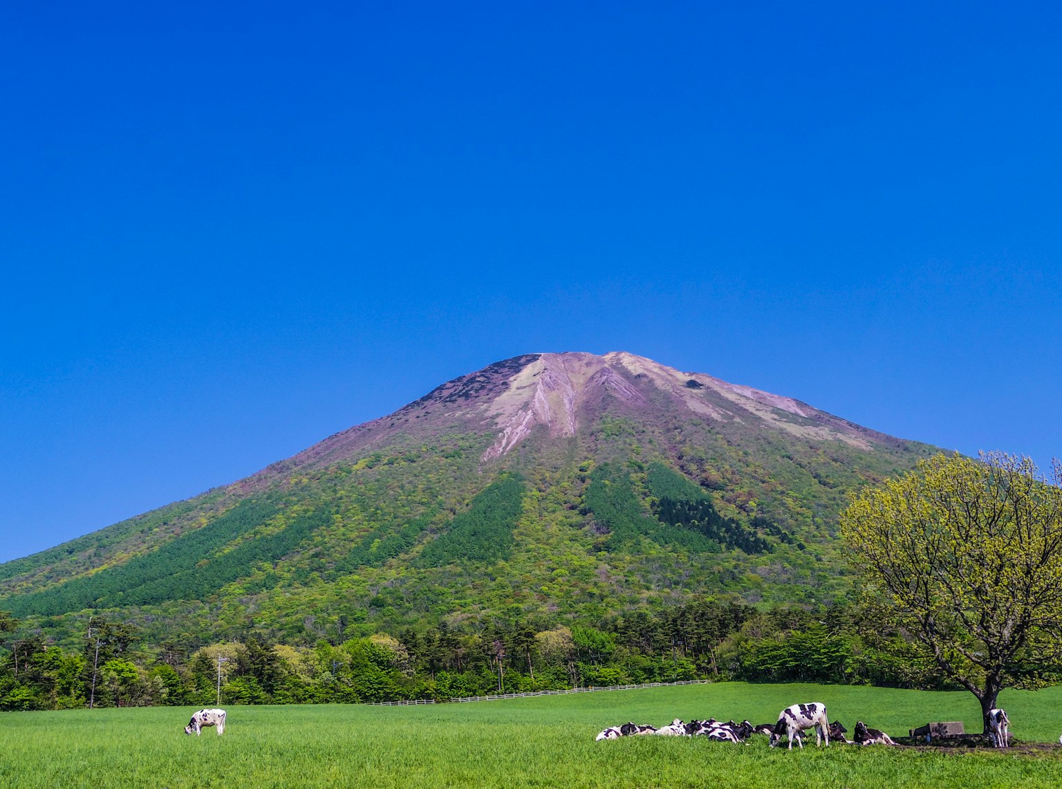 一座巍峨的火山在晴朗的藍天和郁郁葱葱的田野下