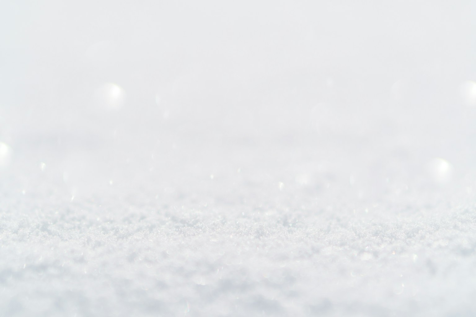 A snowy white background with sparkling glimmers scattered throughout