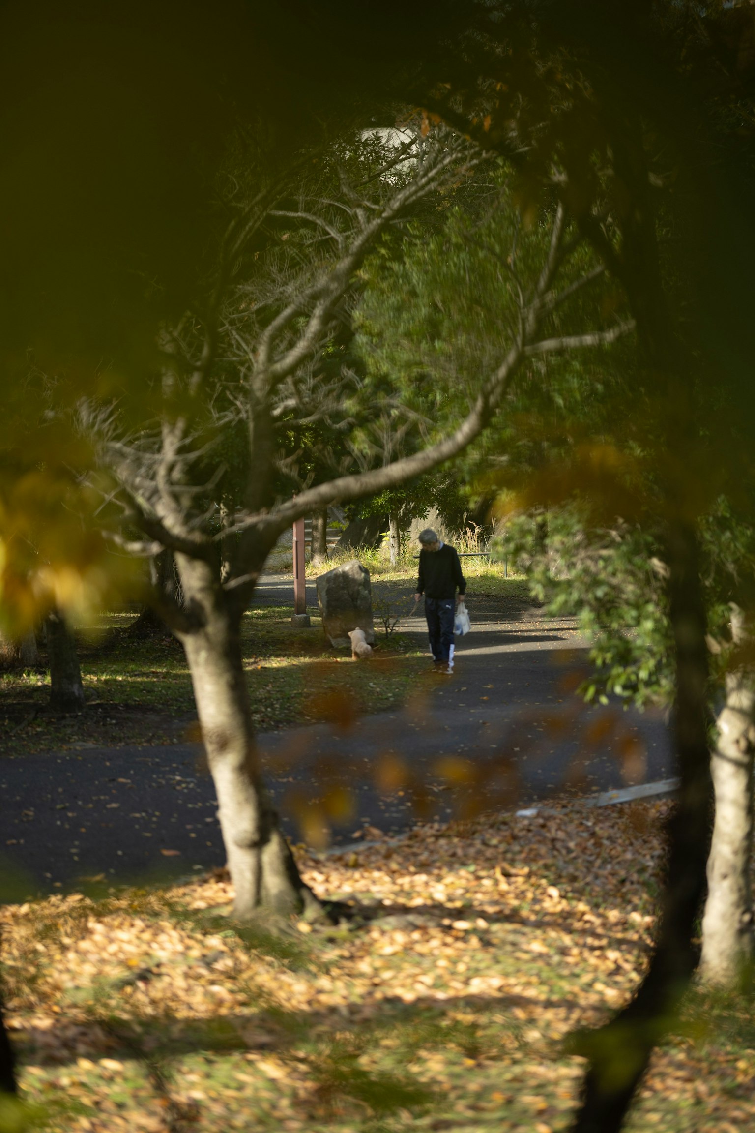 Eine Person, die in einem Herbstpark umgeben von gefallenen Blättern geht