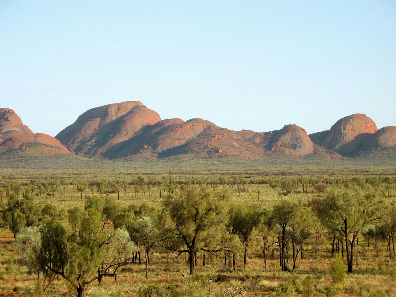 Landscape featuring red mountains and green trees in Australia