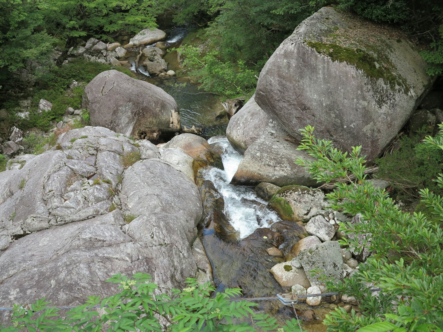 A stream flowing between large rocks surrounded by lush greenery